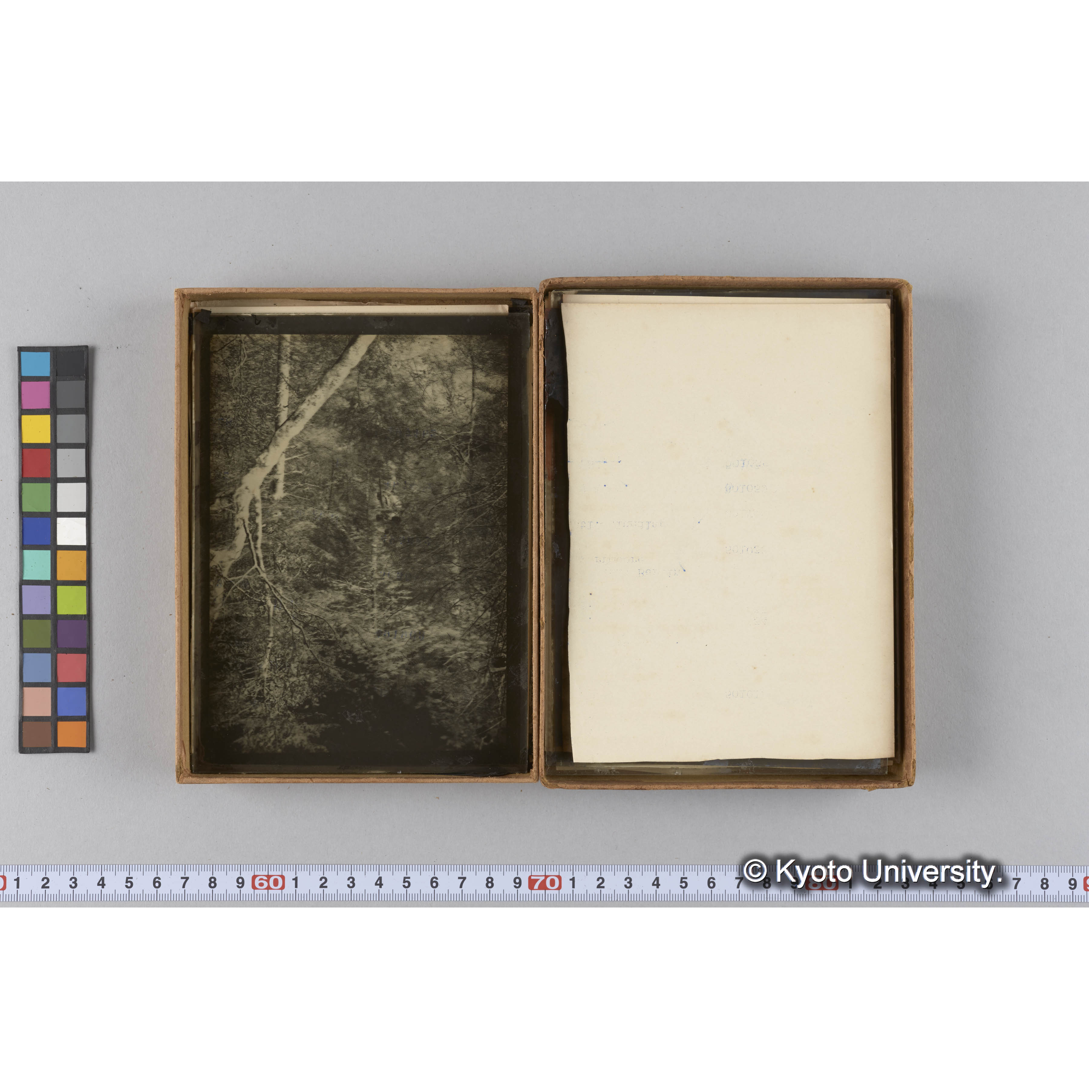 ガラス乾板F (23)