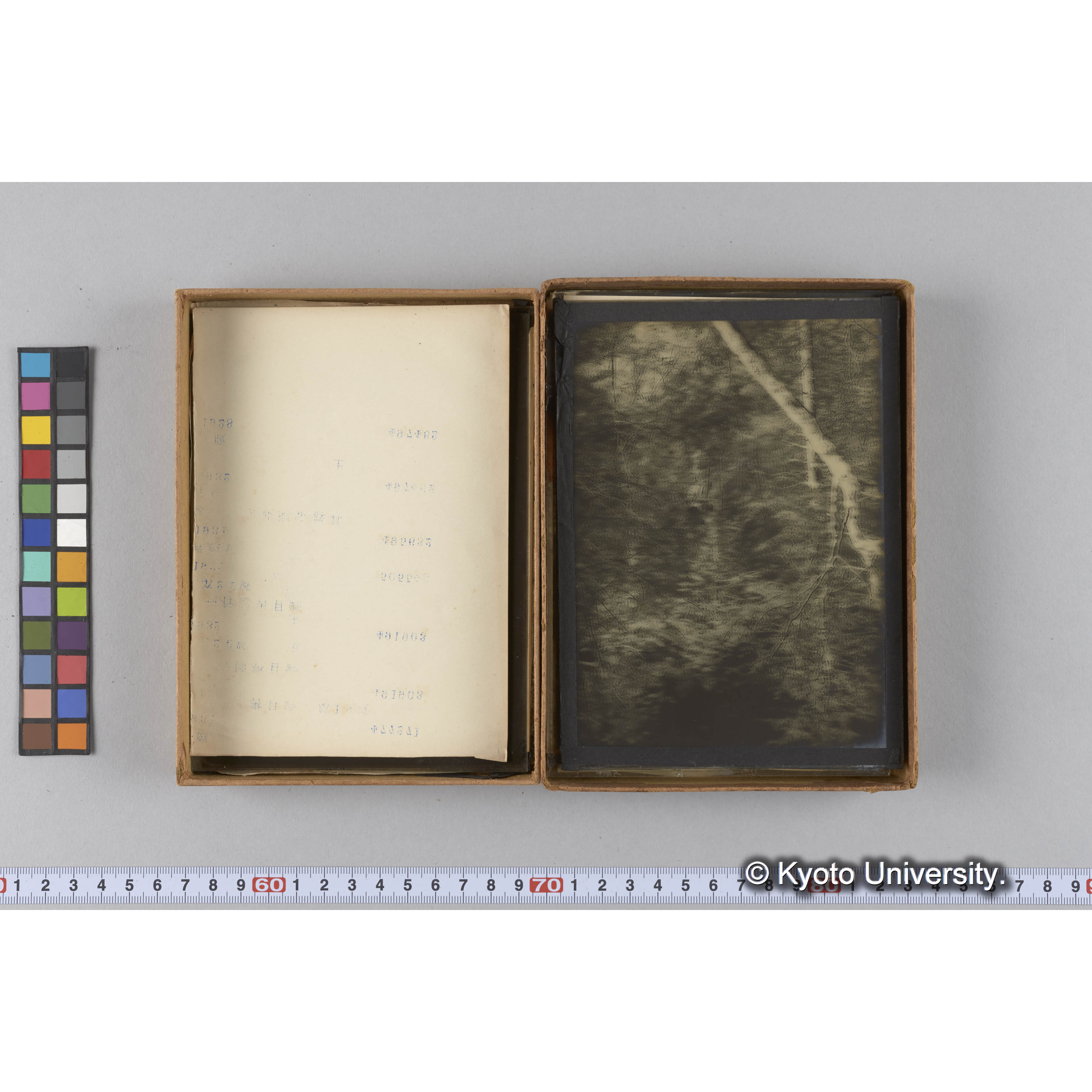 ガラス乾板F (24)