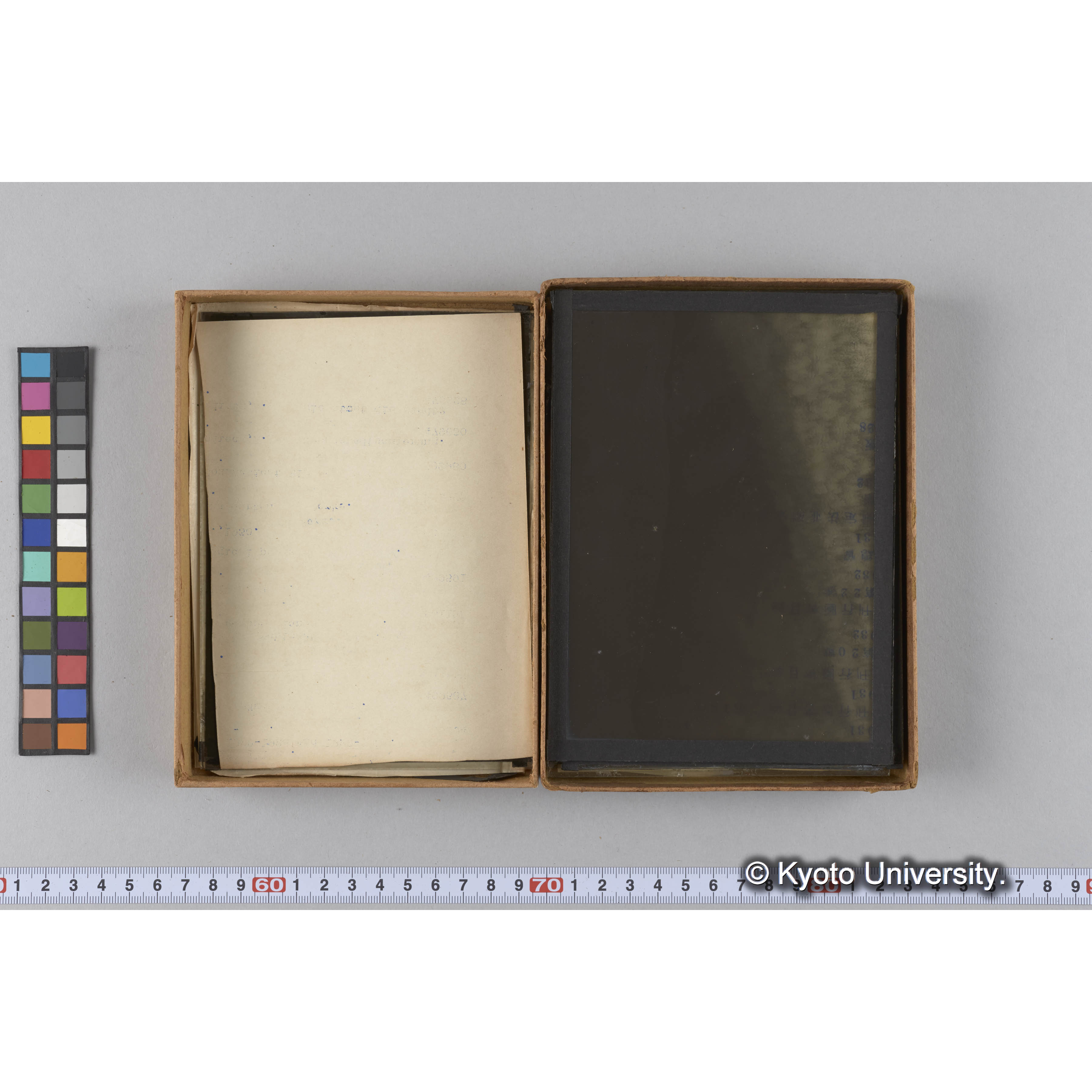 ガラス乾板F (26)