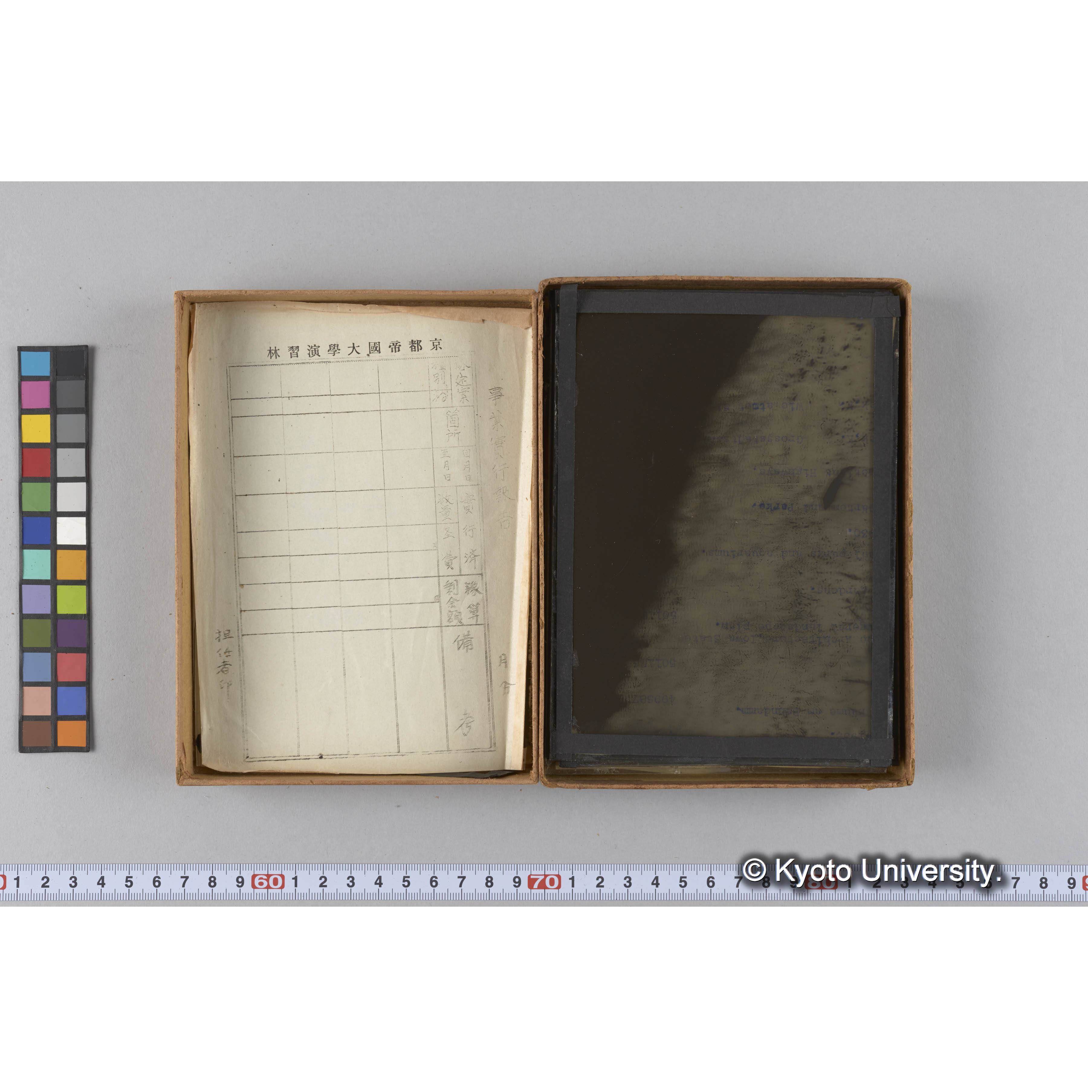 ガラス乾板F (28)