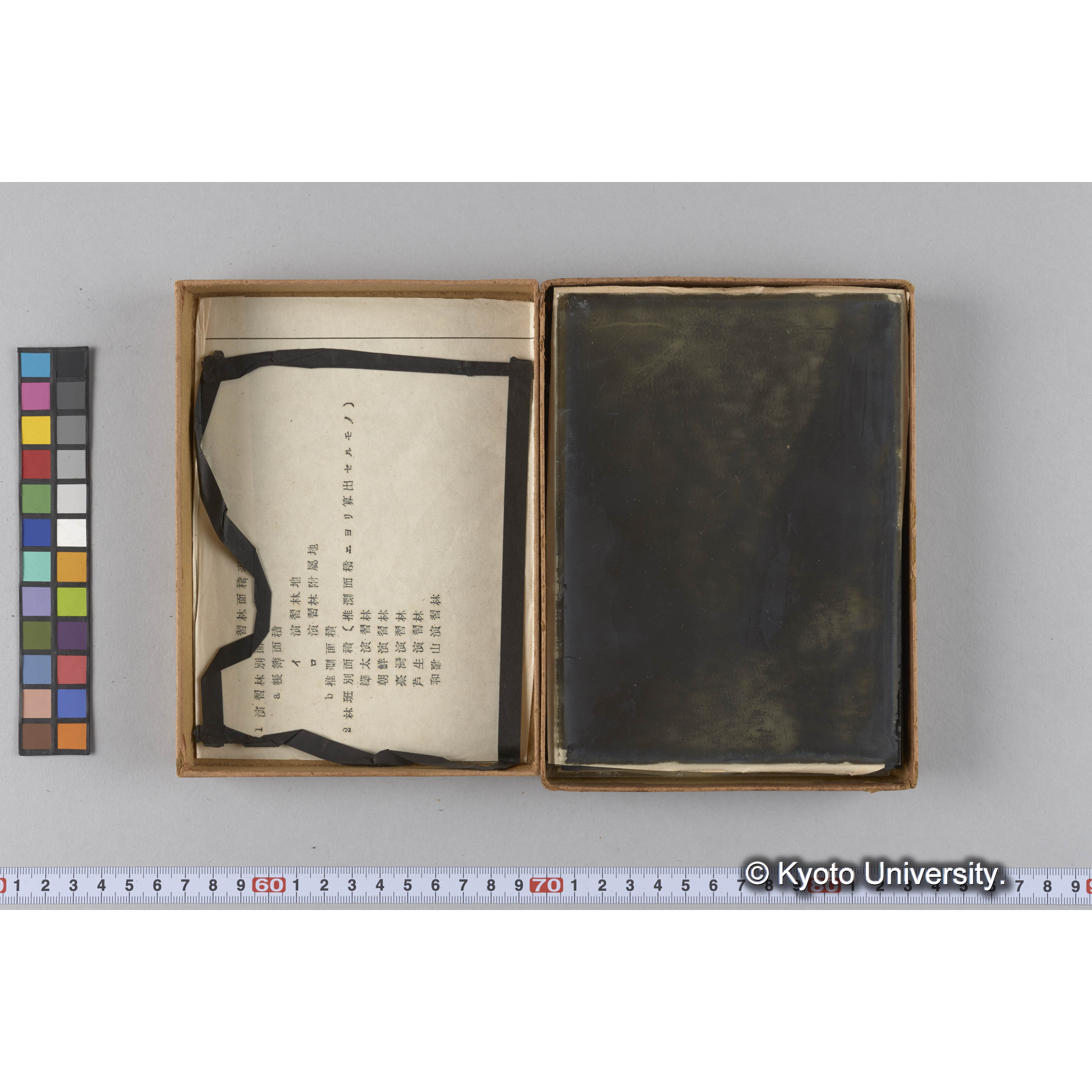 ガラス乾板F (30)