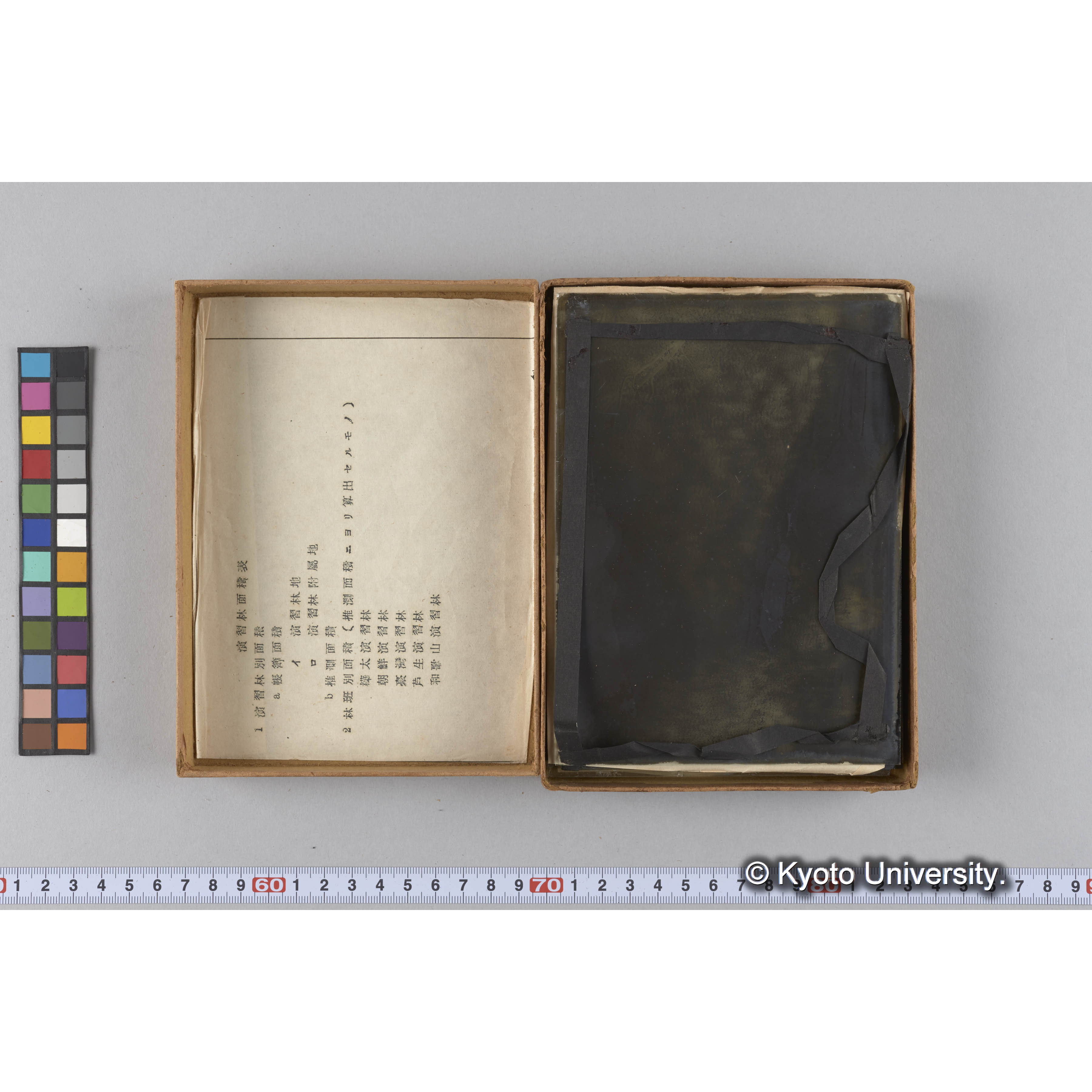 ガラス乾板F (31)