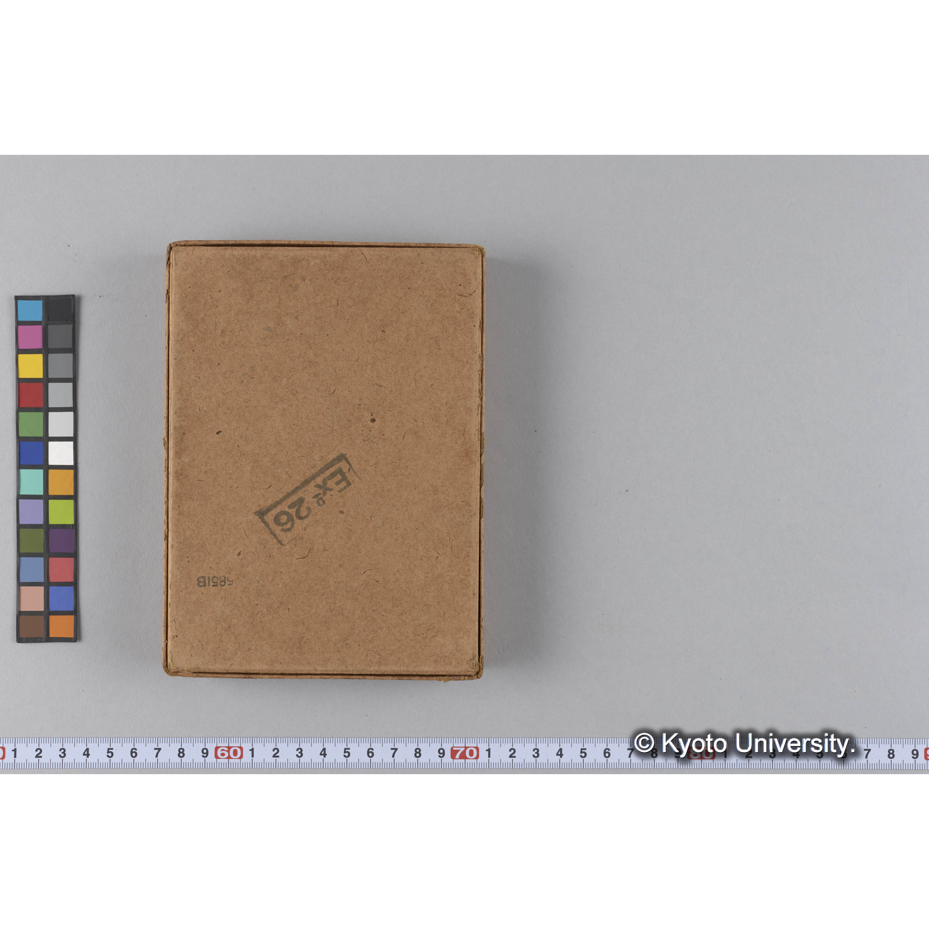 ガラス乾板F (33)