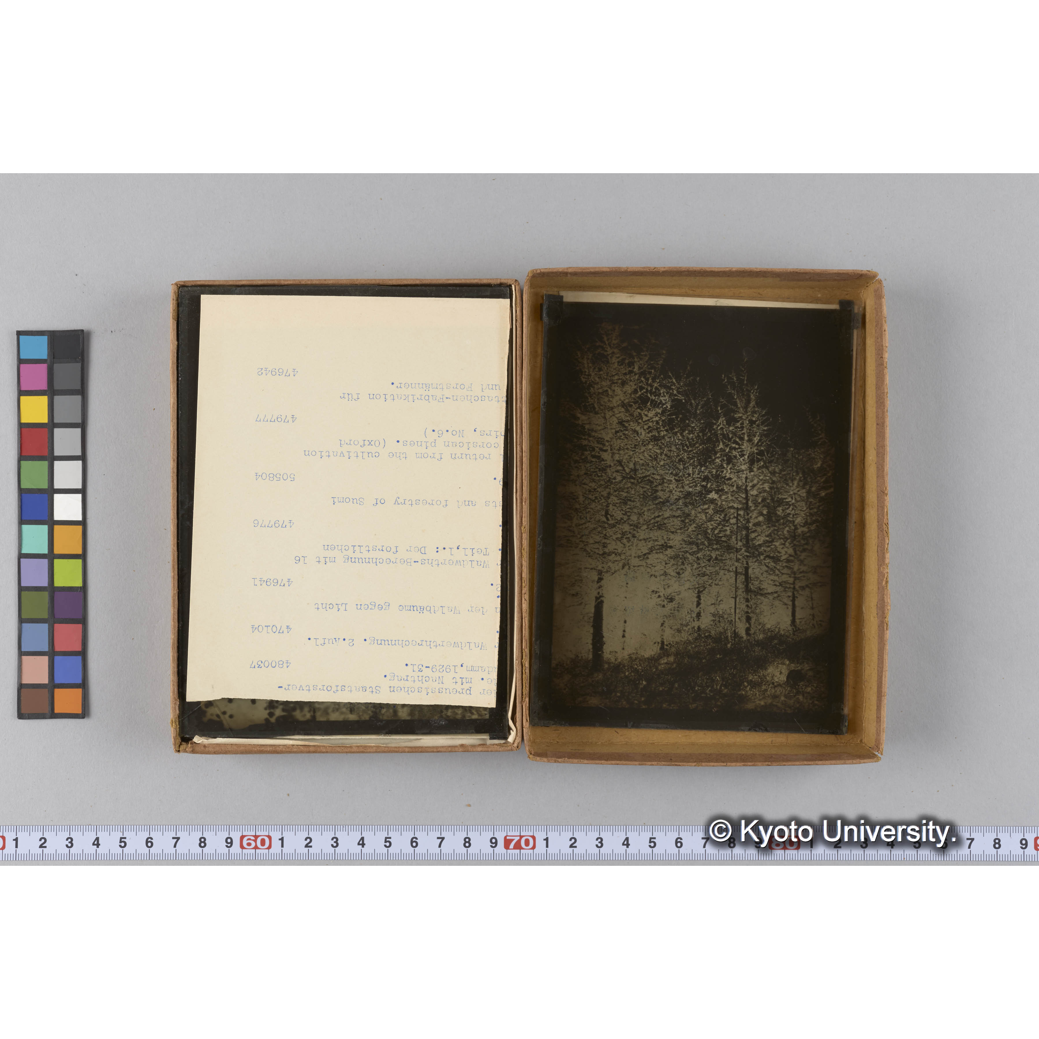 ガラス乾板G (4)