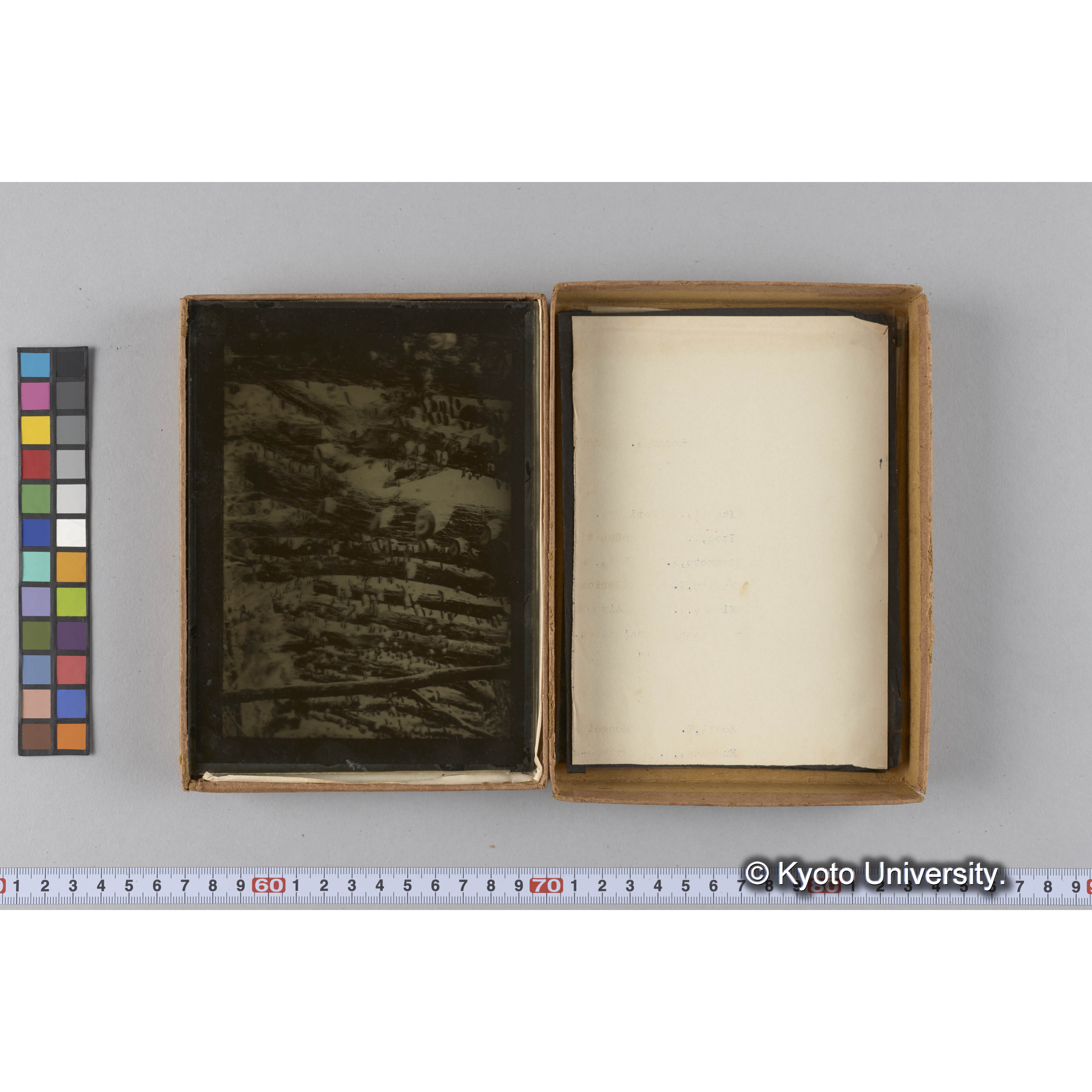 ガラス乾板G (7)