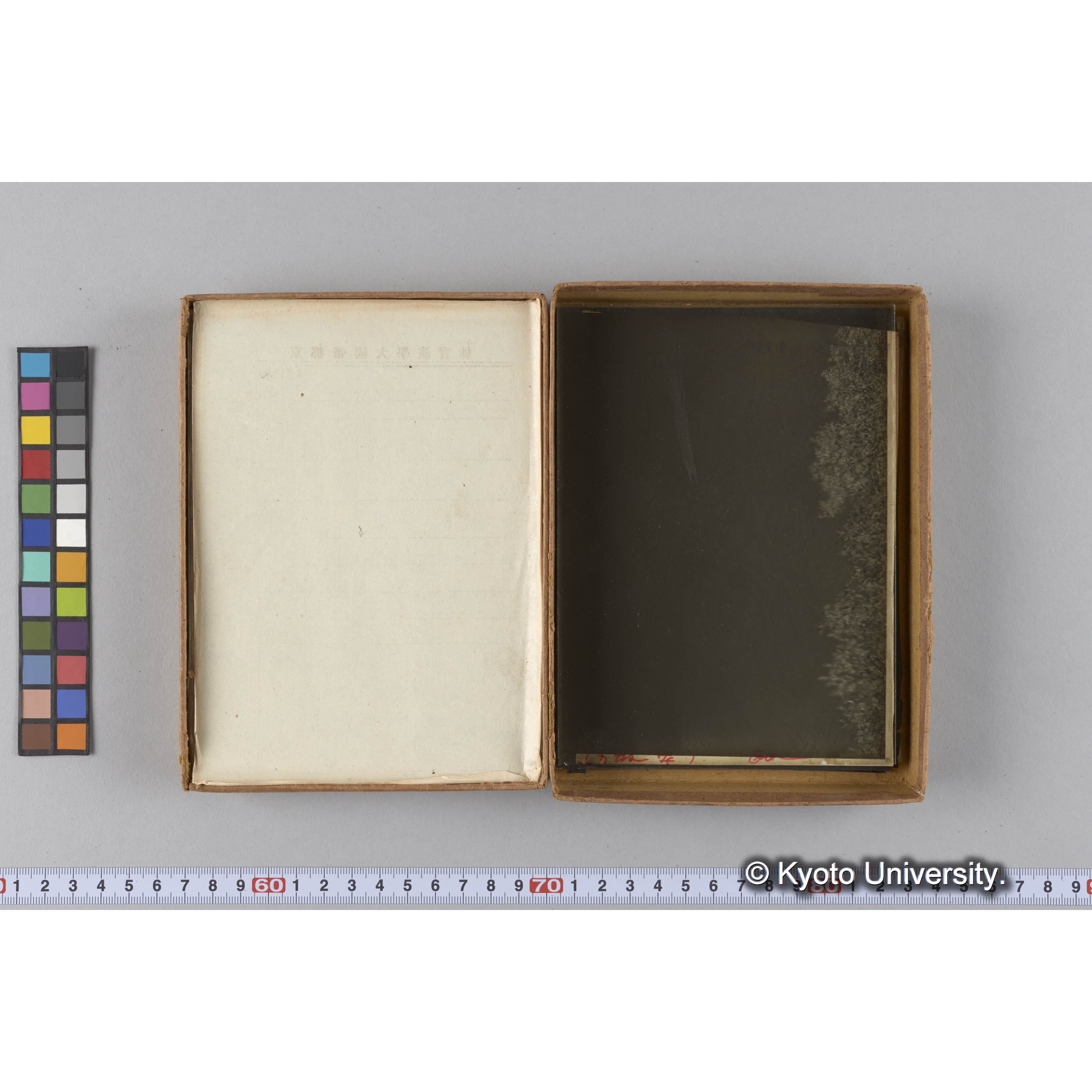 ガラス乾板G (10)