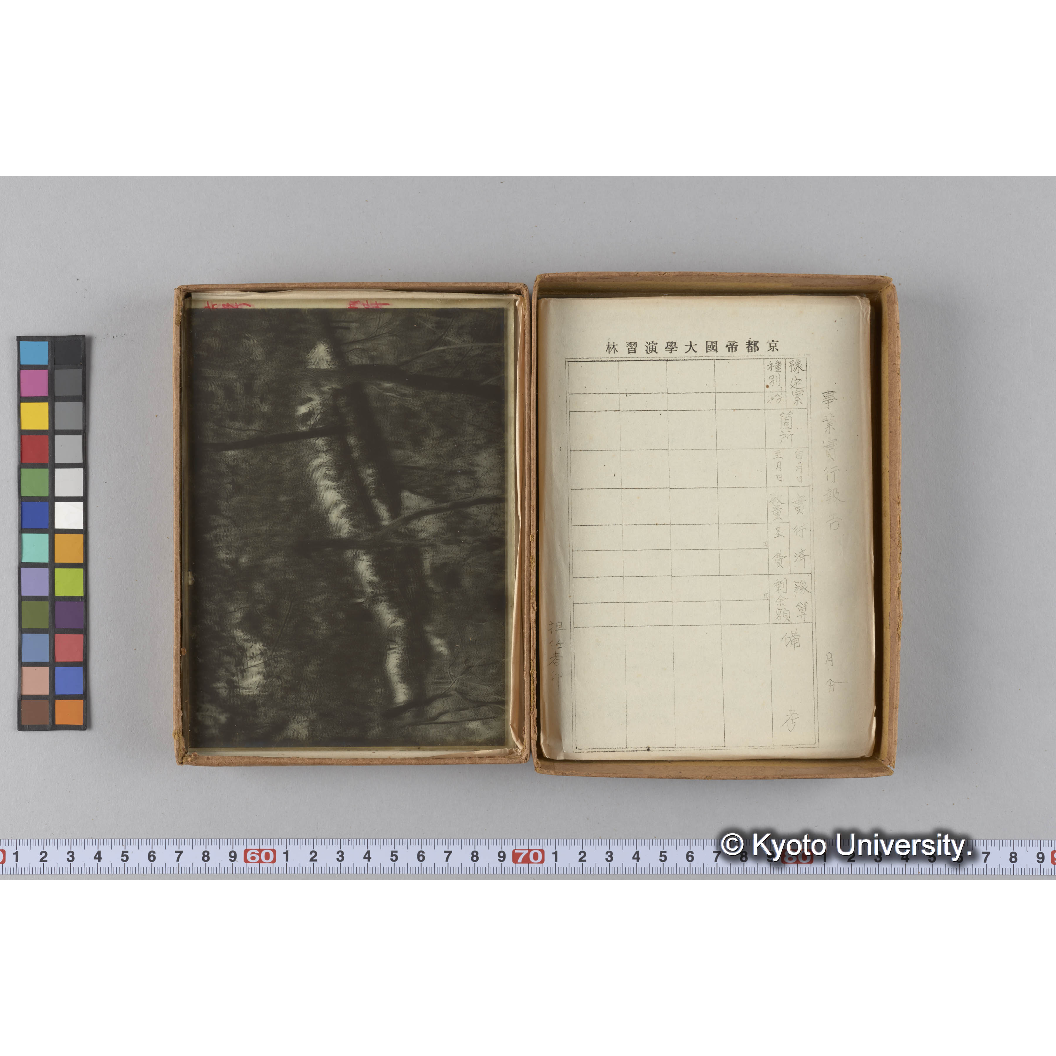 ガラス乾板G (11)