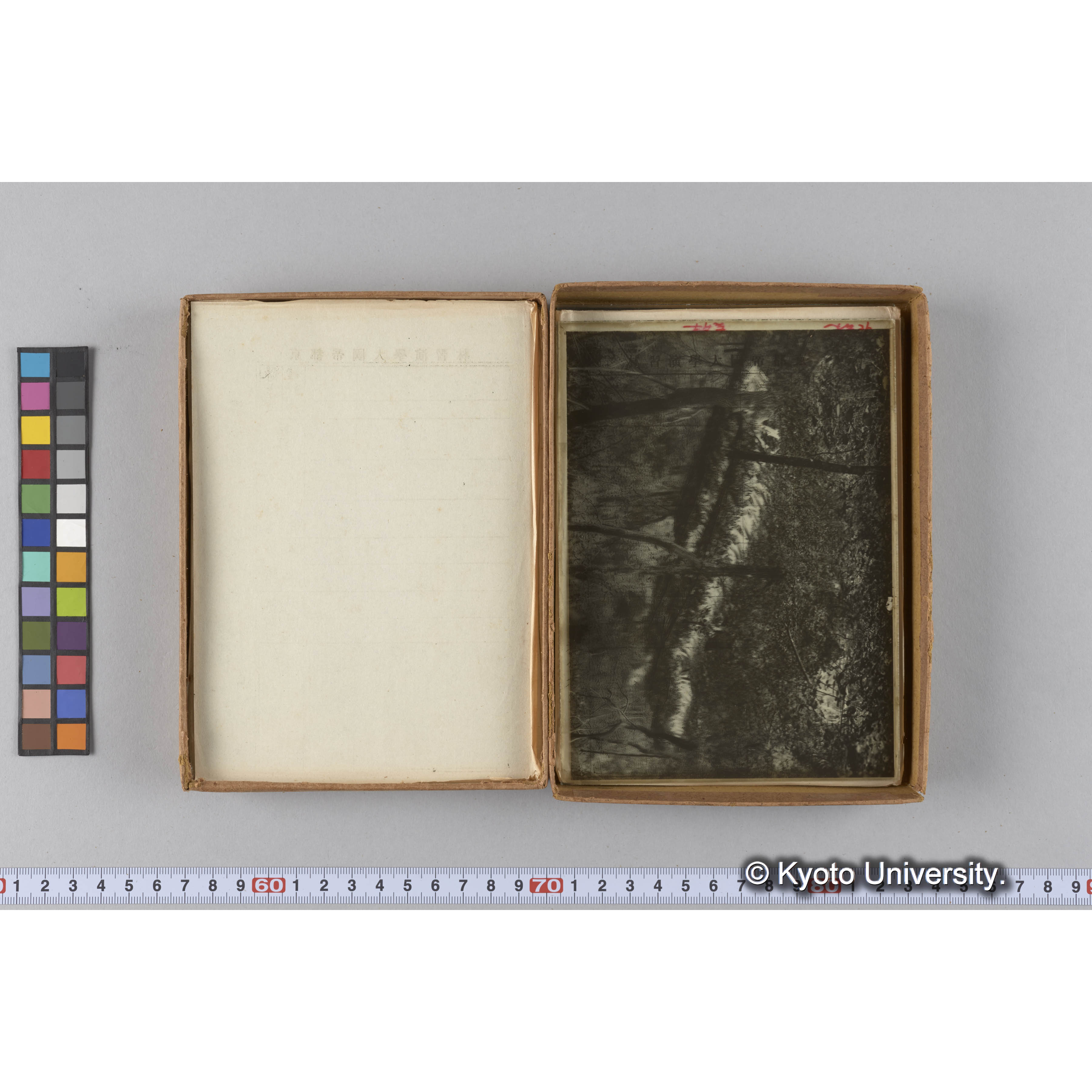 ガラス乾板G (12)