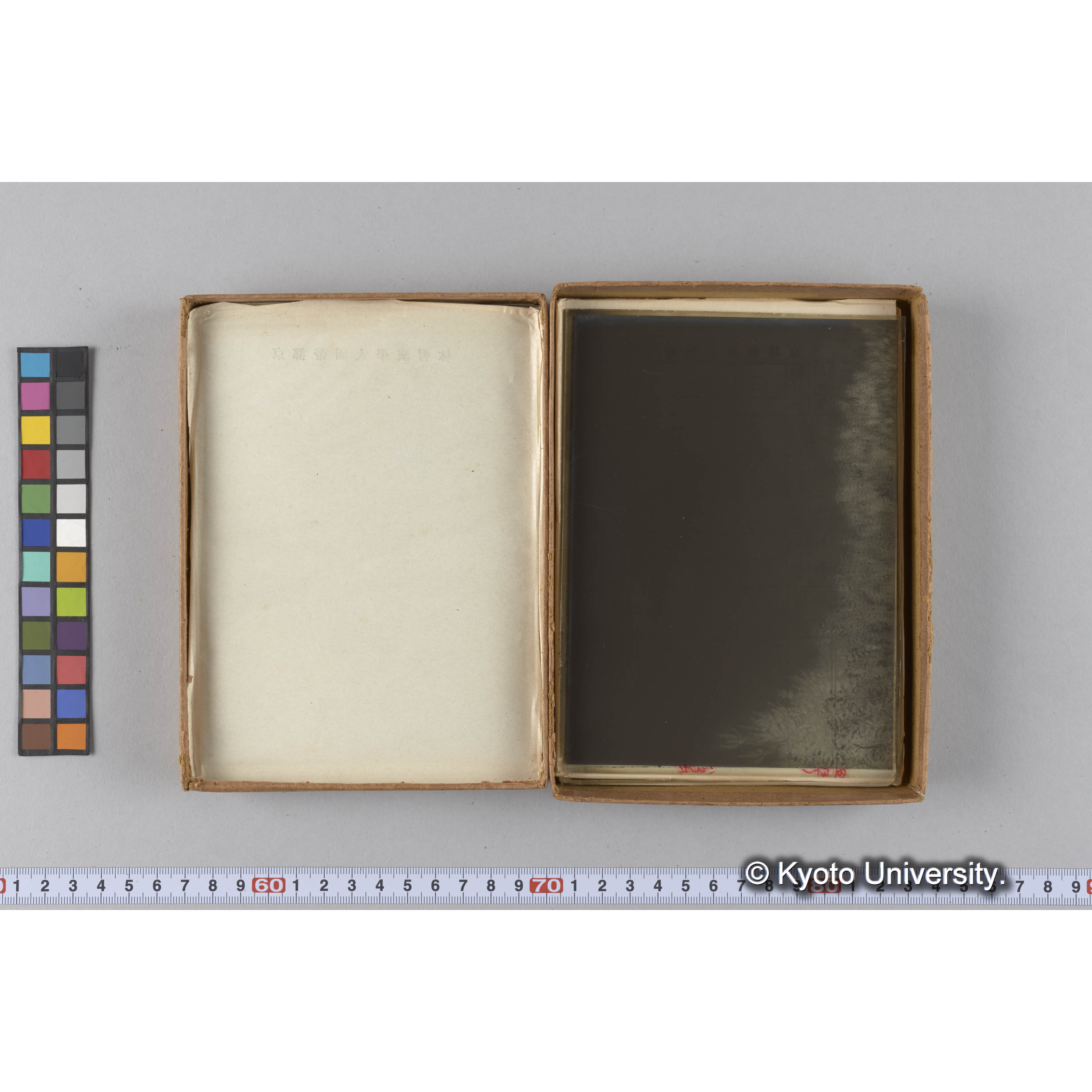 ガラス乾板G (13)