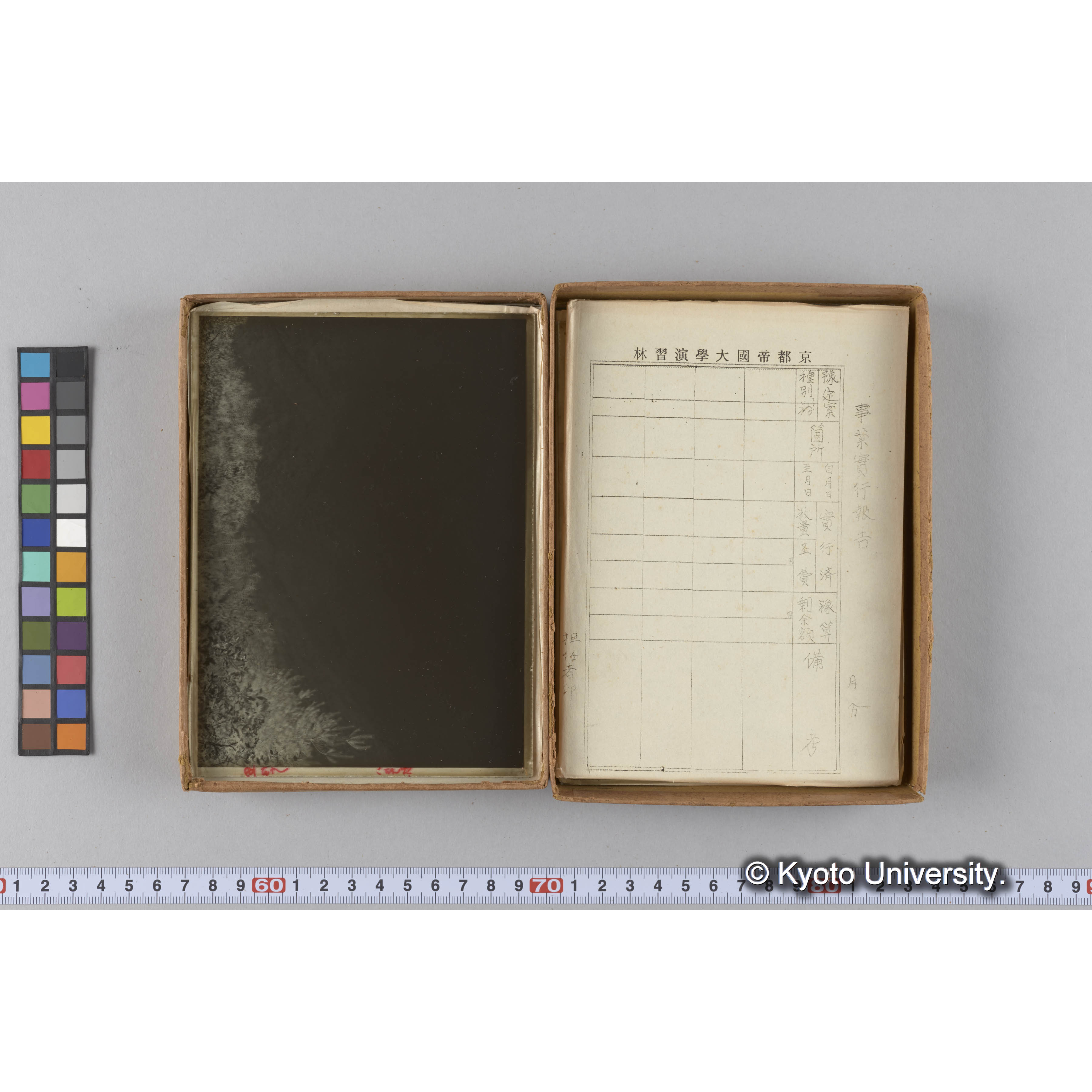 ガラス乾板G (14)