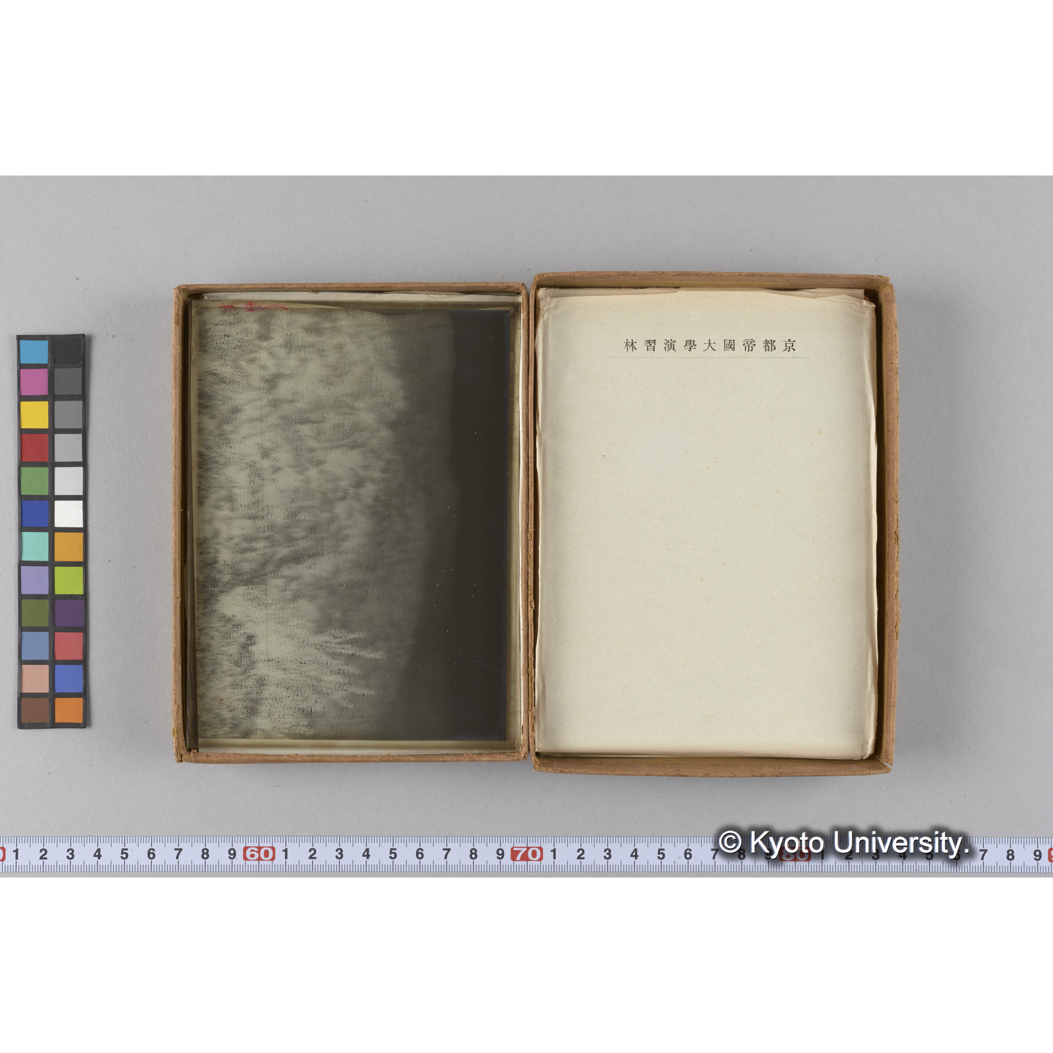 ガラス乾板G (15)