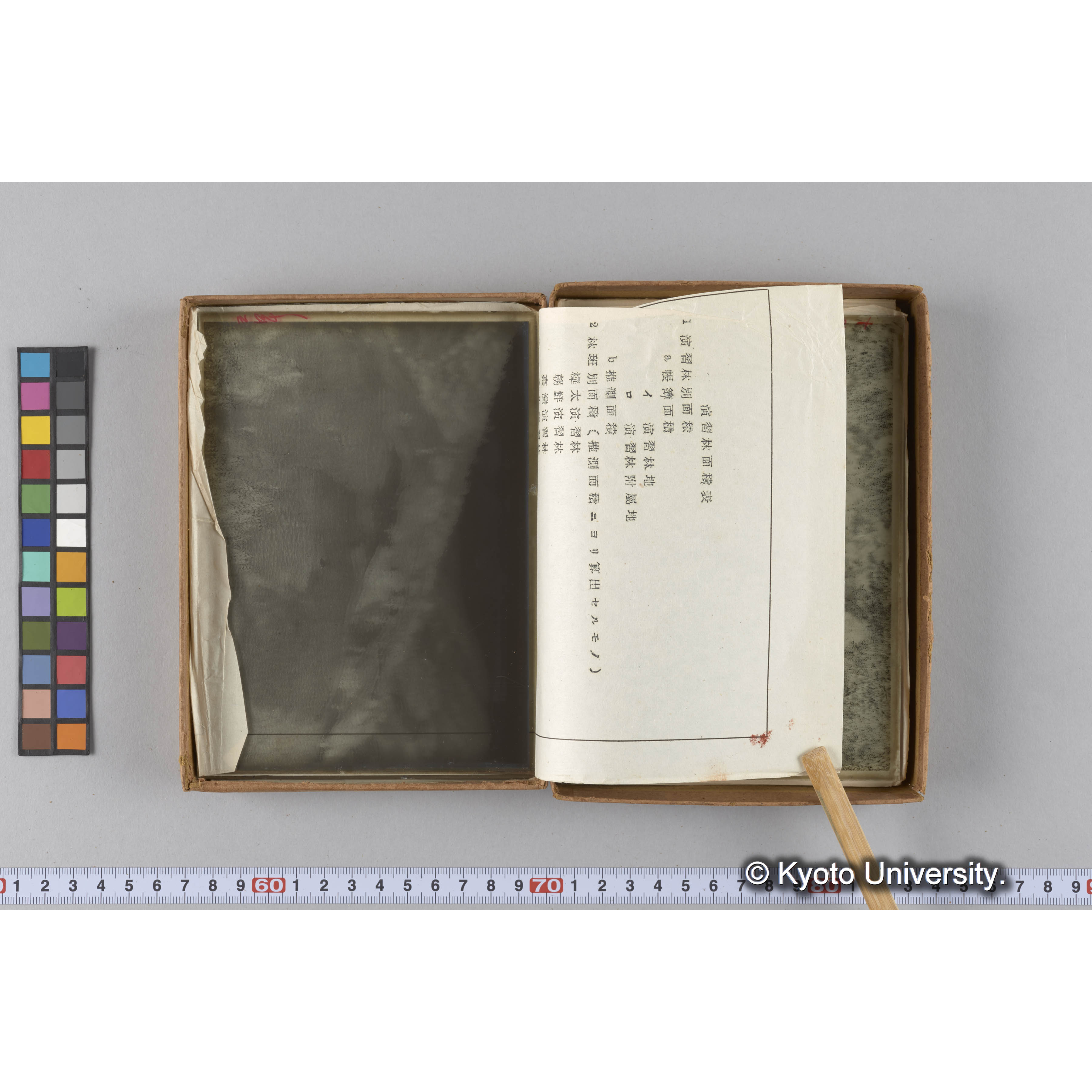 ガラス乾板G (16)