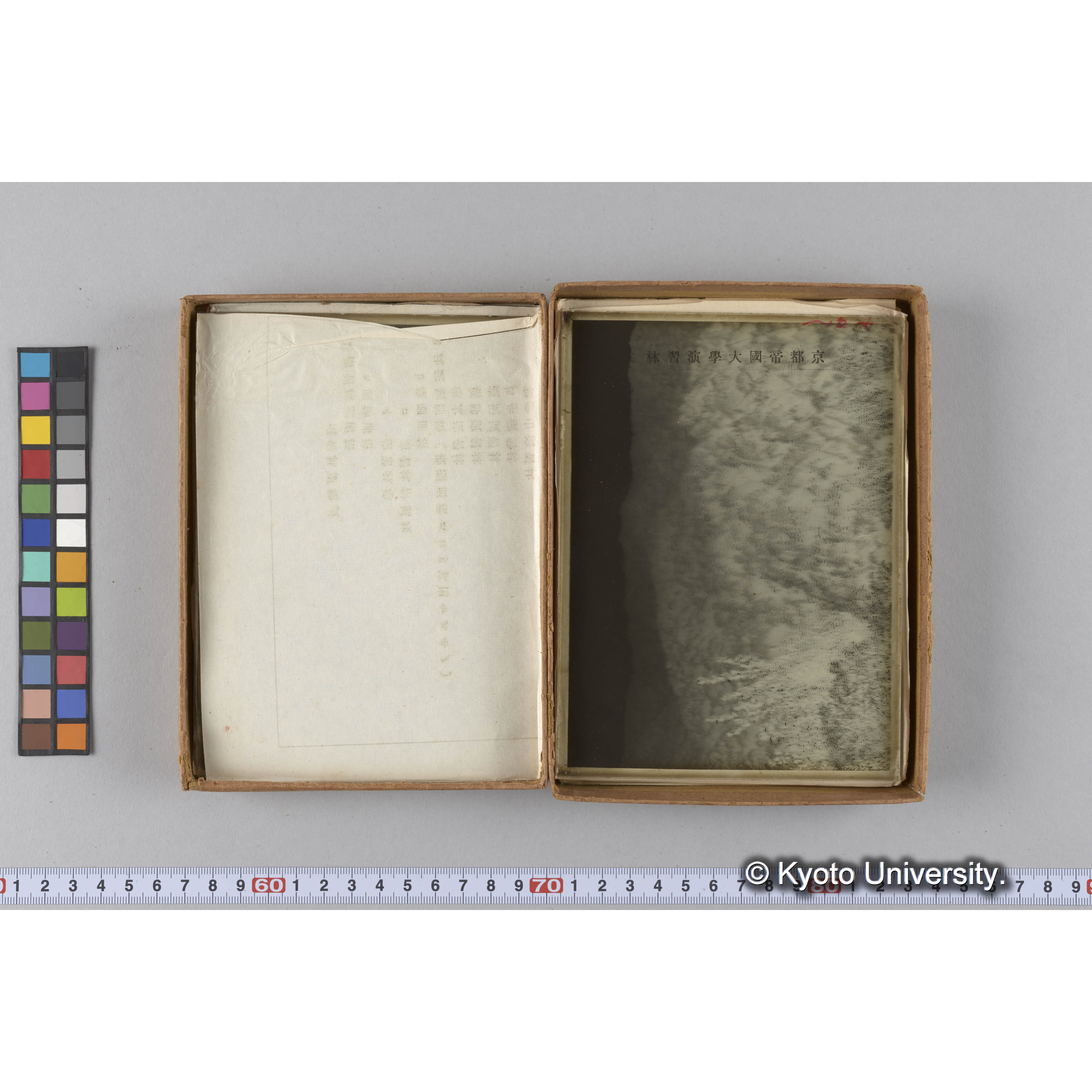 ガラス乾板G (17)