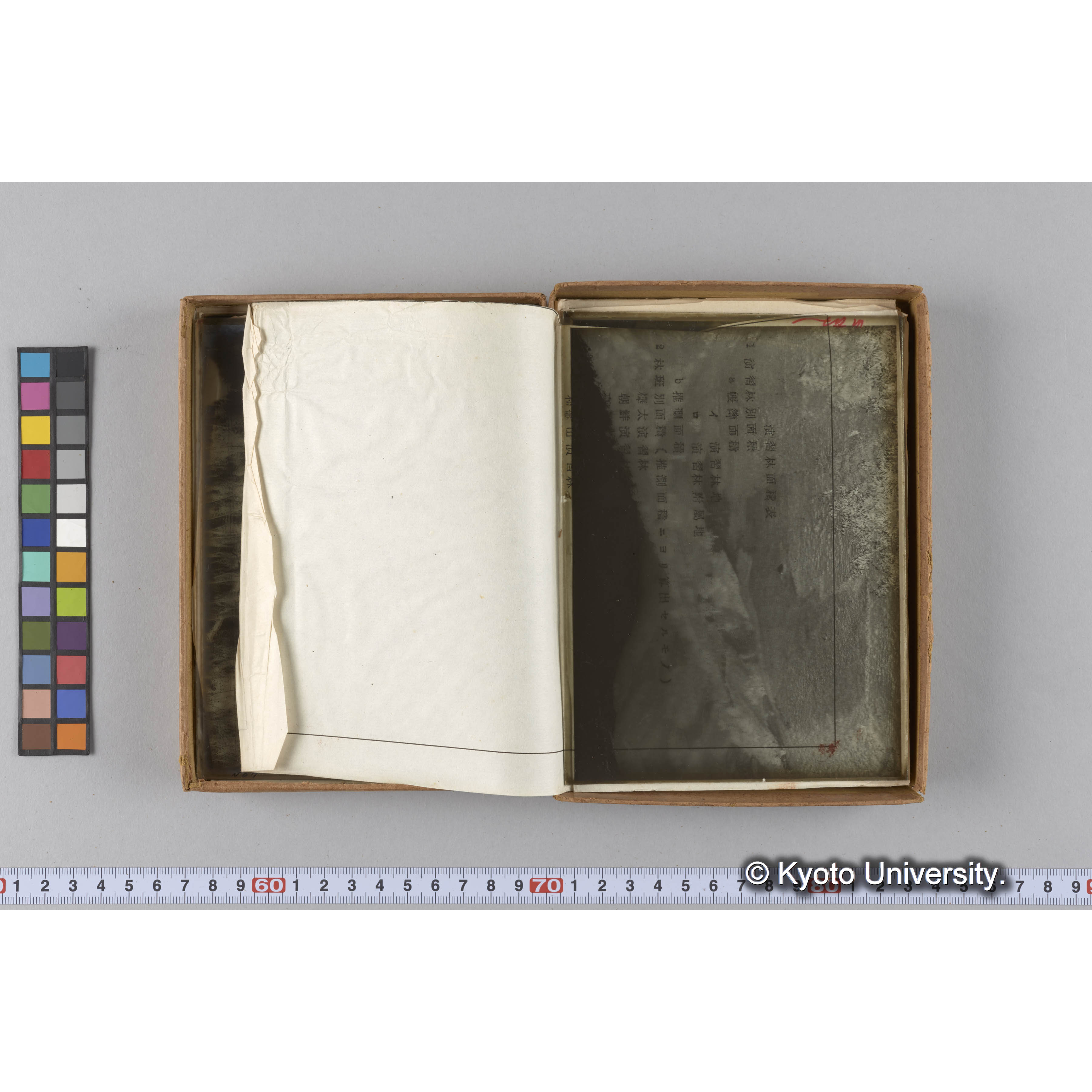 ガラス乾板G (19)