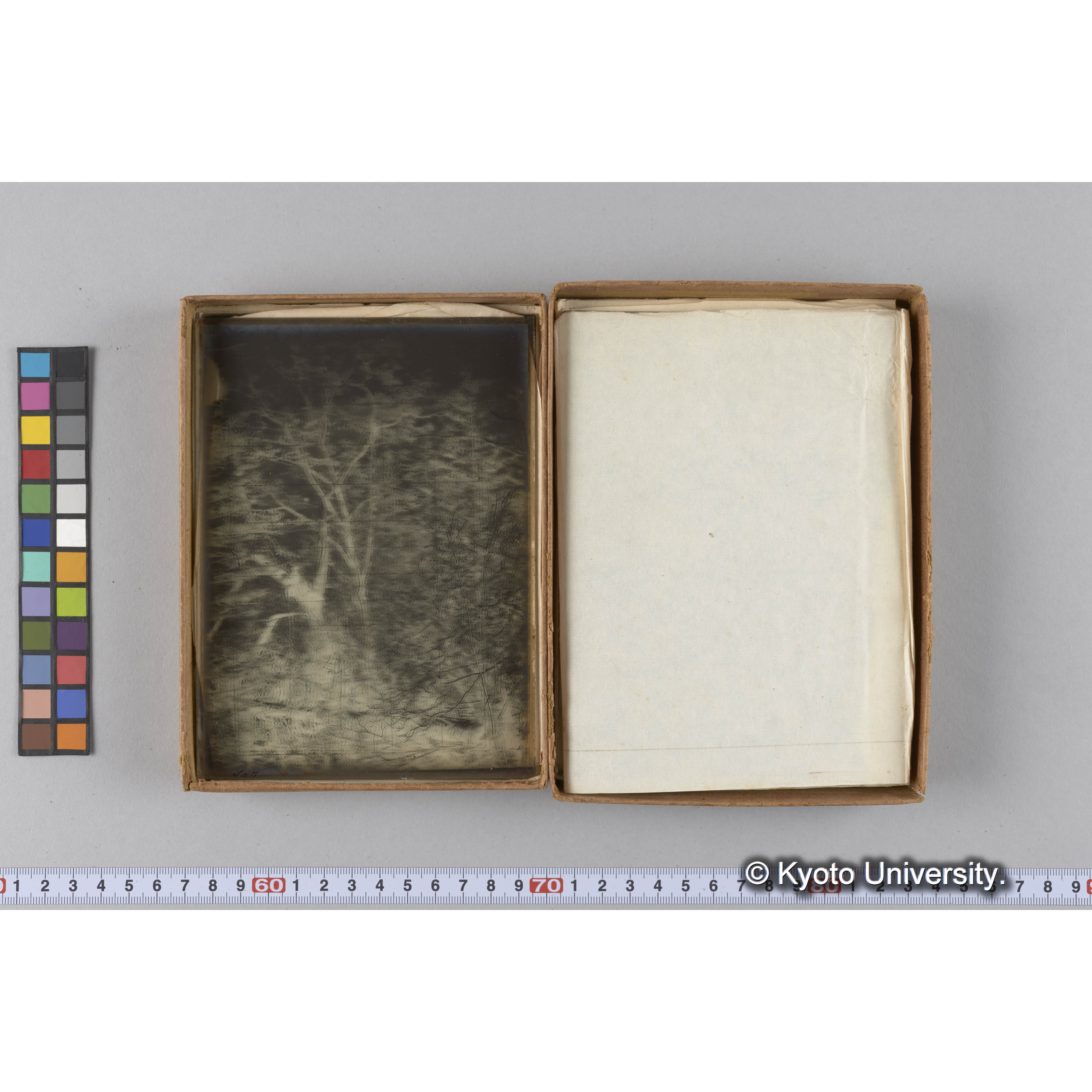 ガラス乾板G (20)