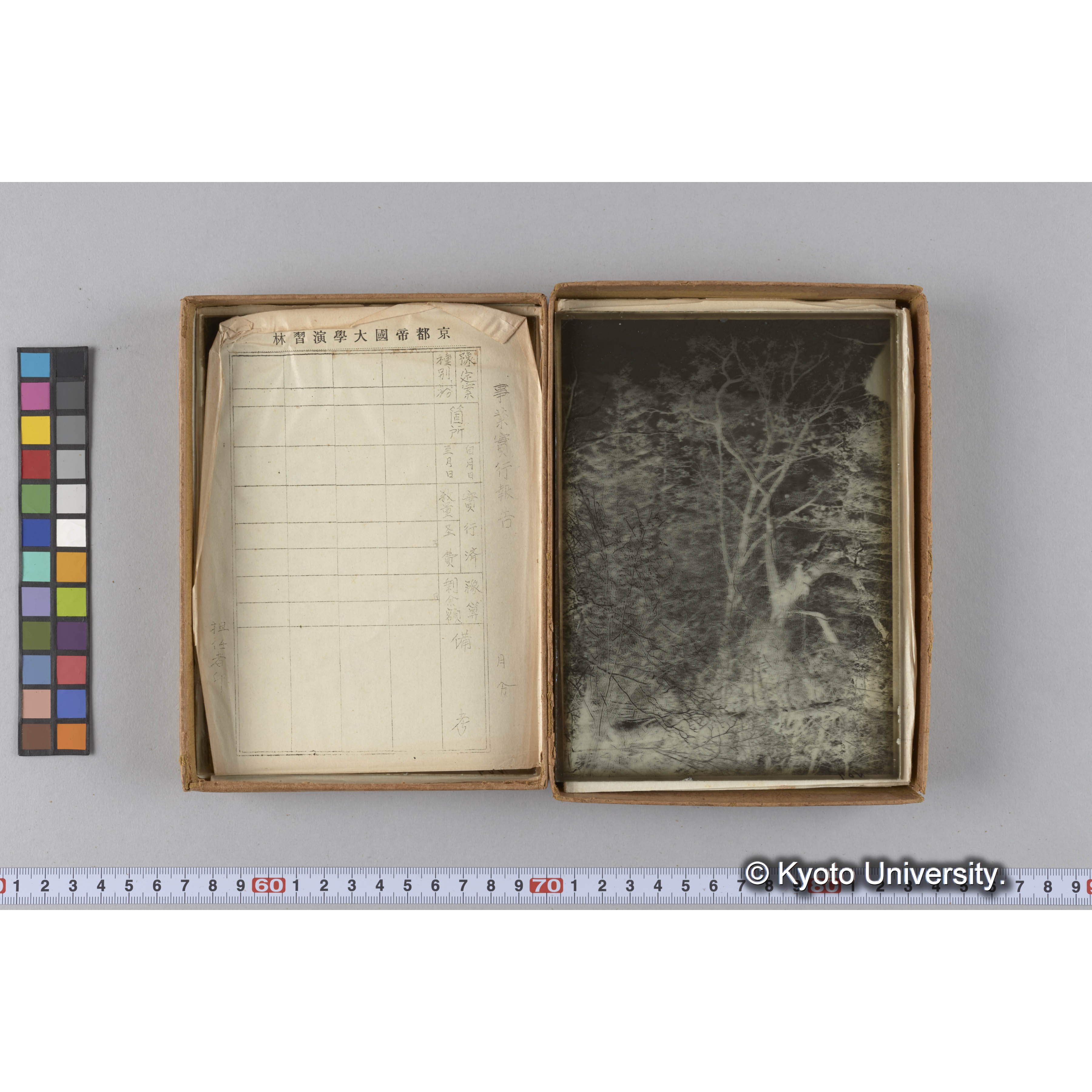 ガラス乾板G (21)