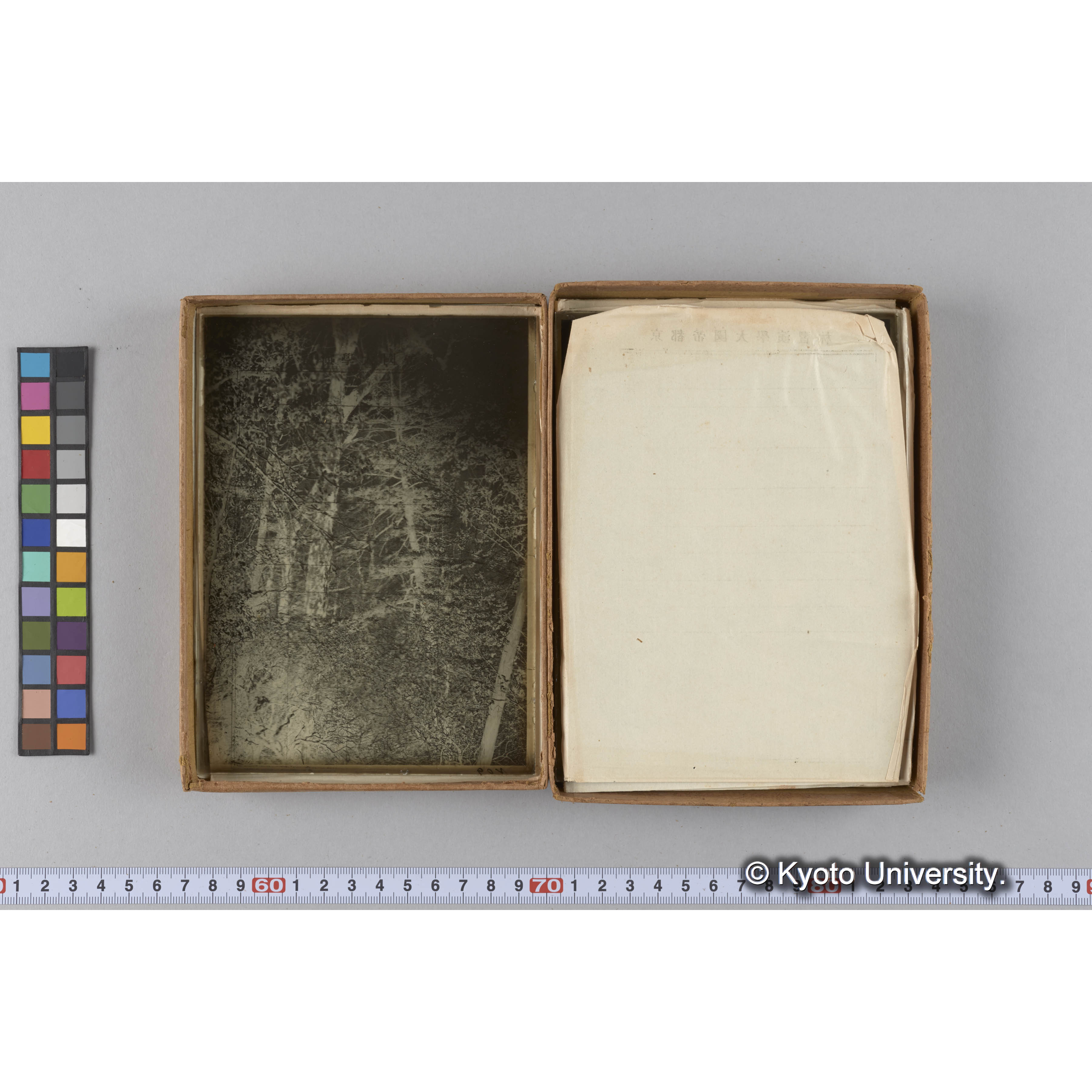 ガラス乾板G (22)