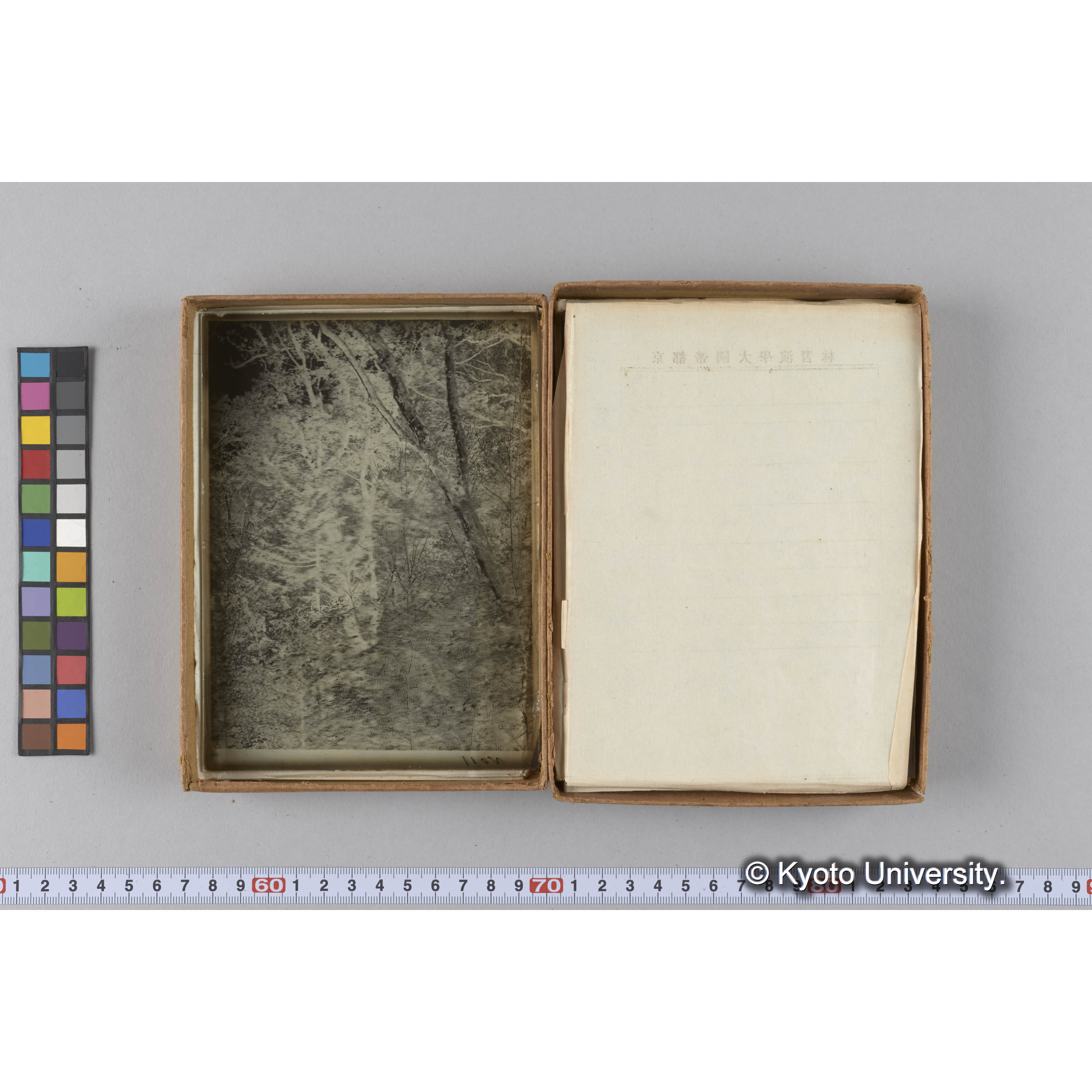 ガラス乾板G (24)