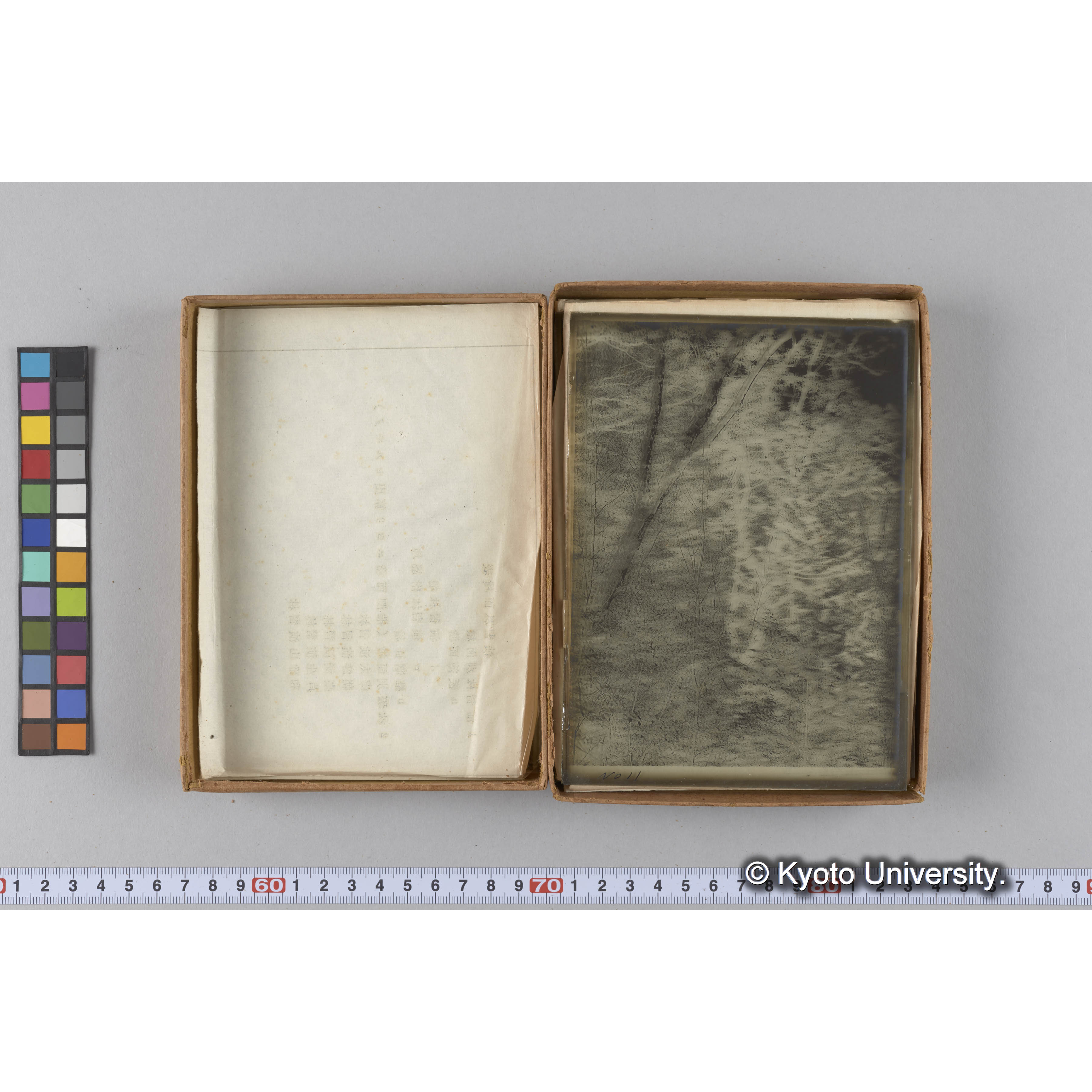 ガラス乾板G (25)