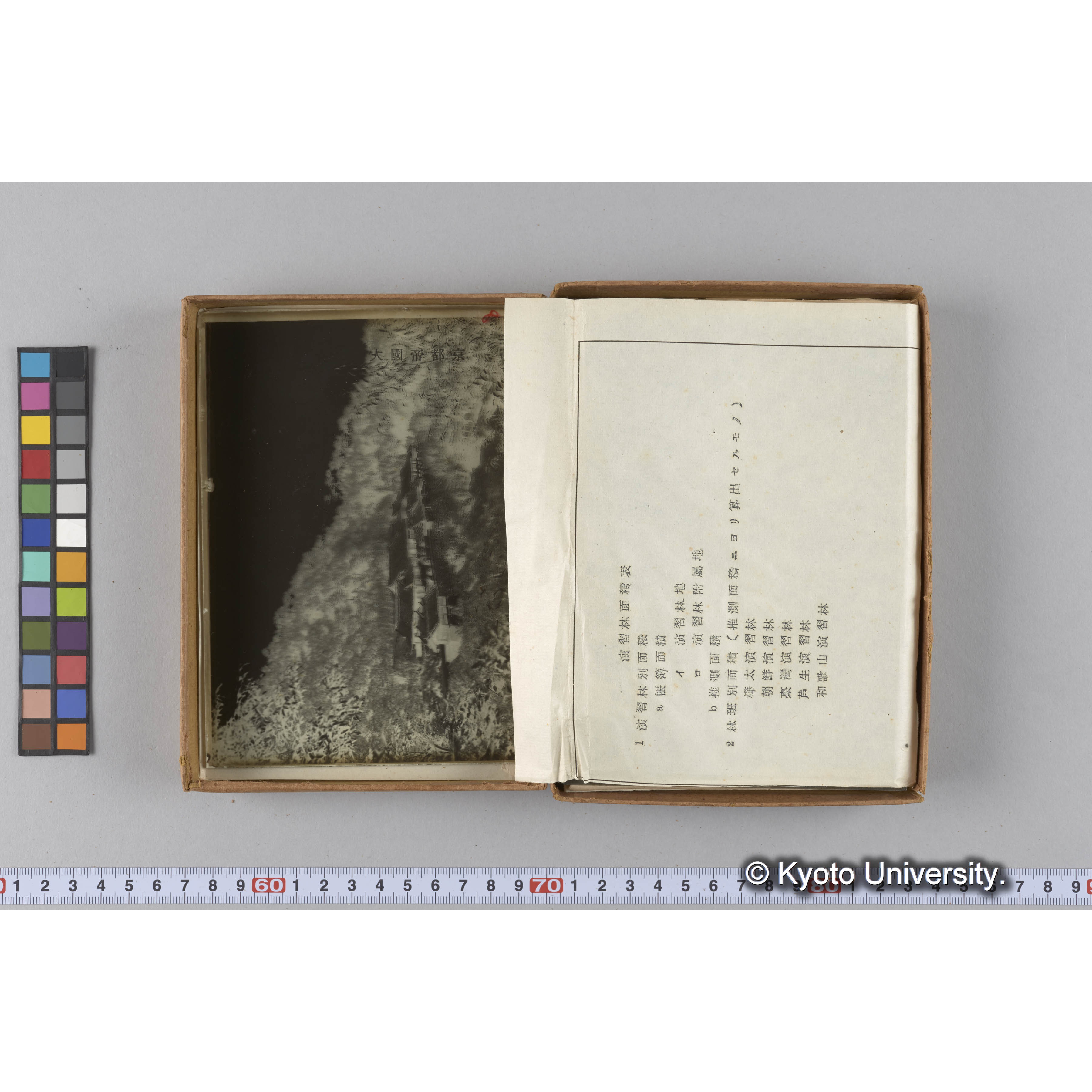 ガラス乾板G (27)