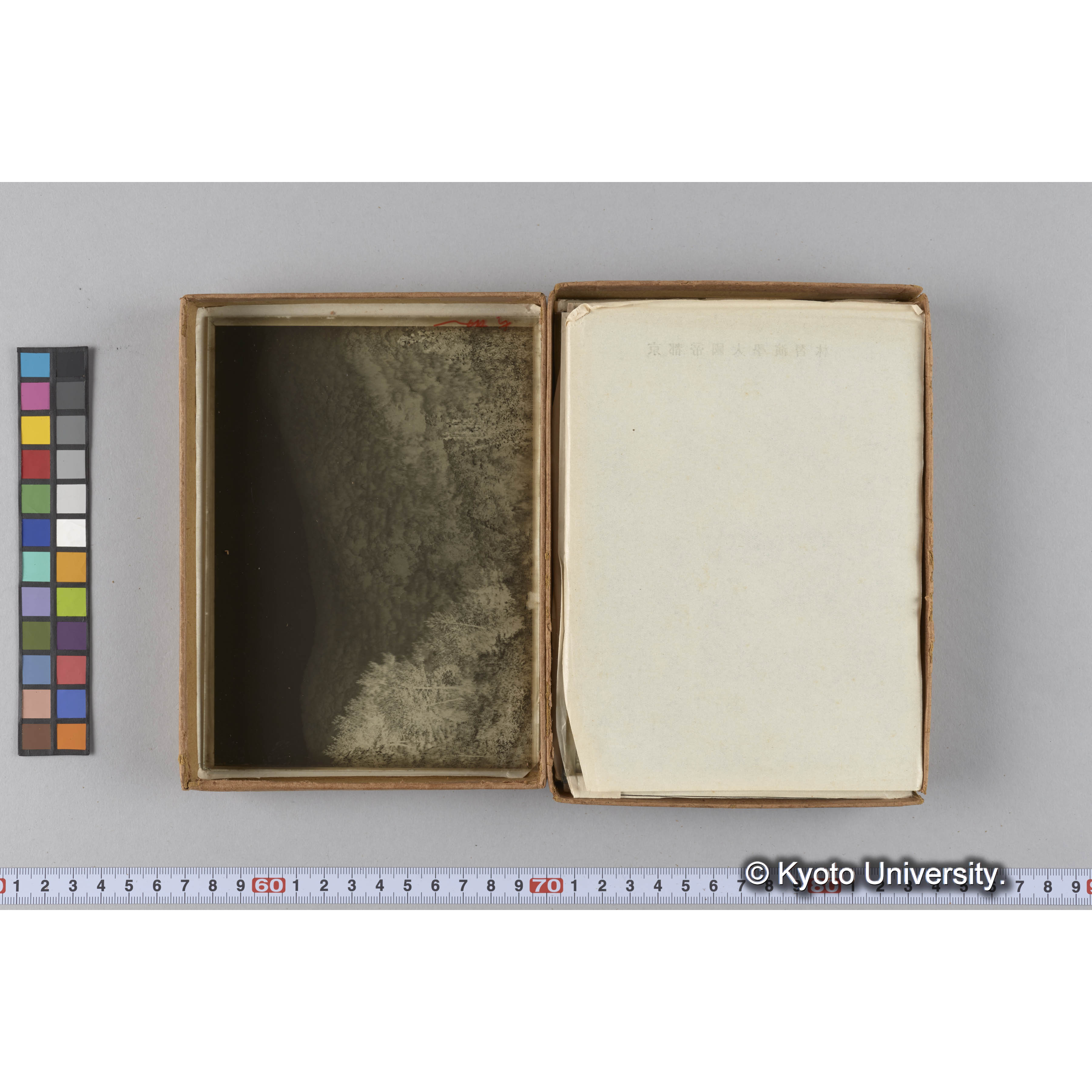 ガラス乾板G (29)