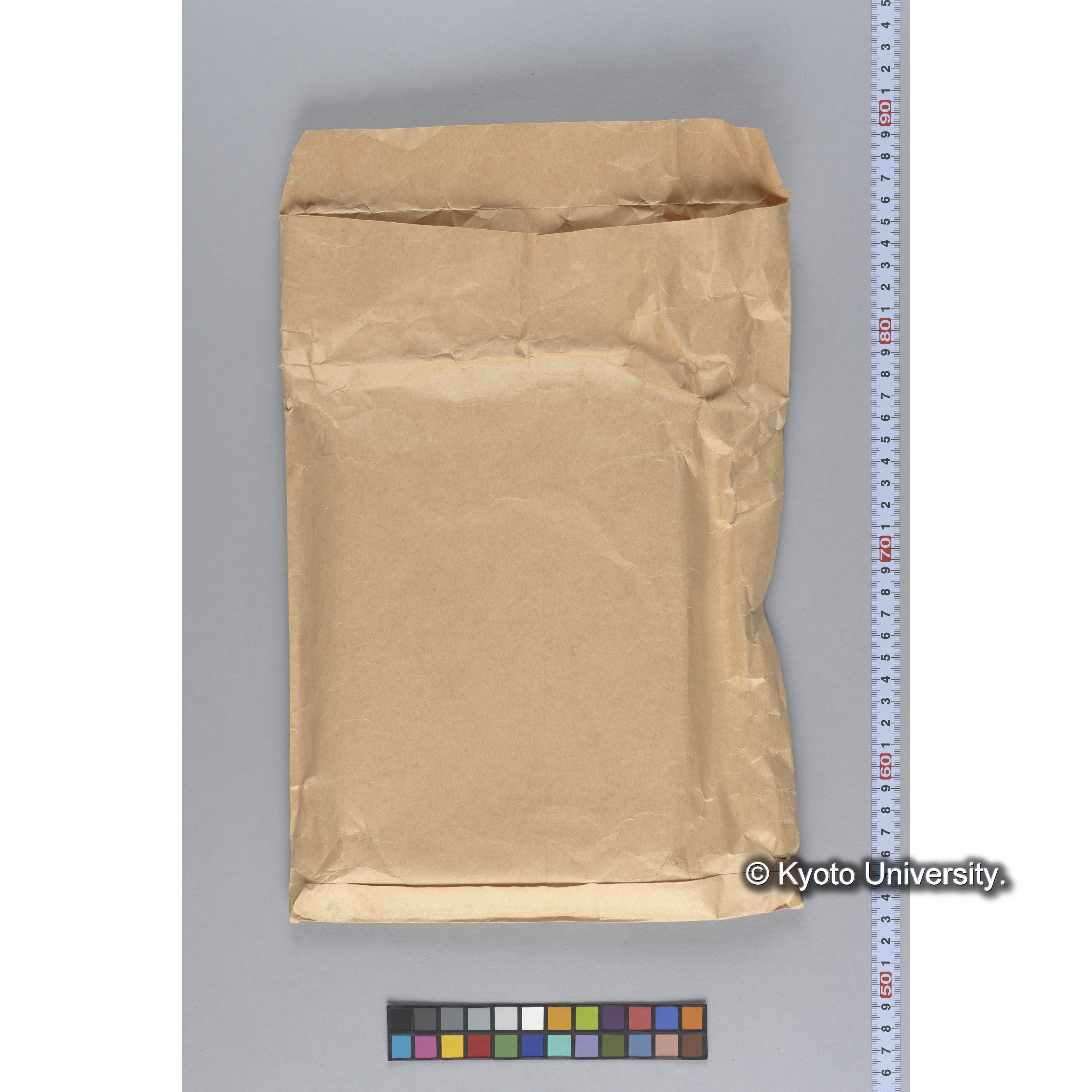 ガラス乾板P (1)