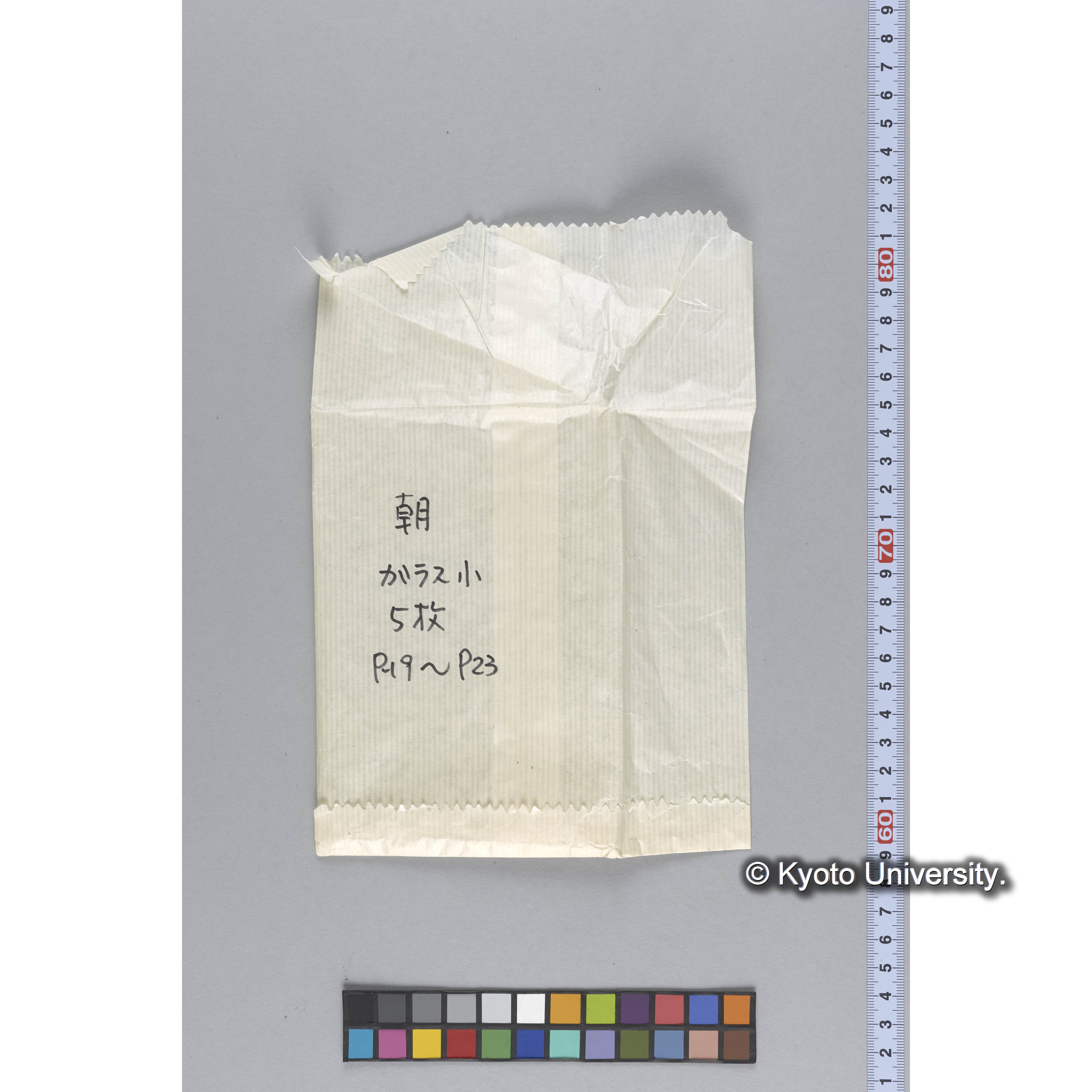 ガラス乾板P (2)