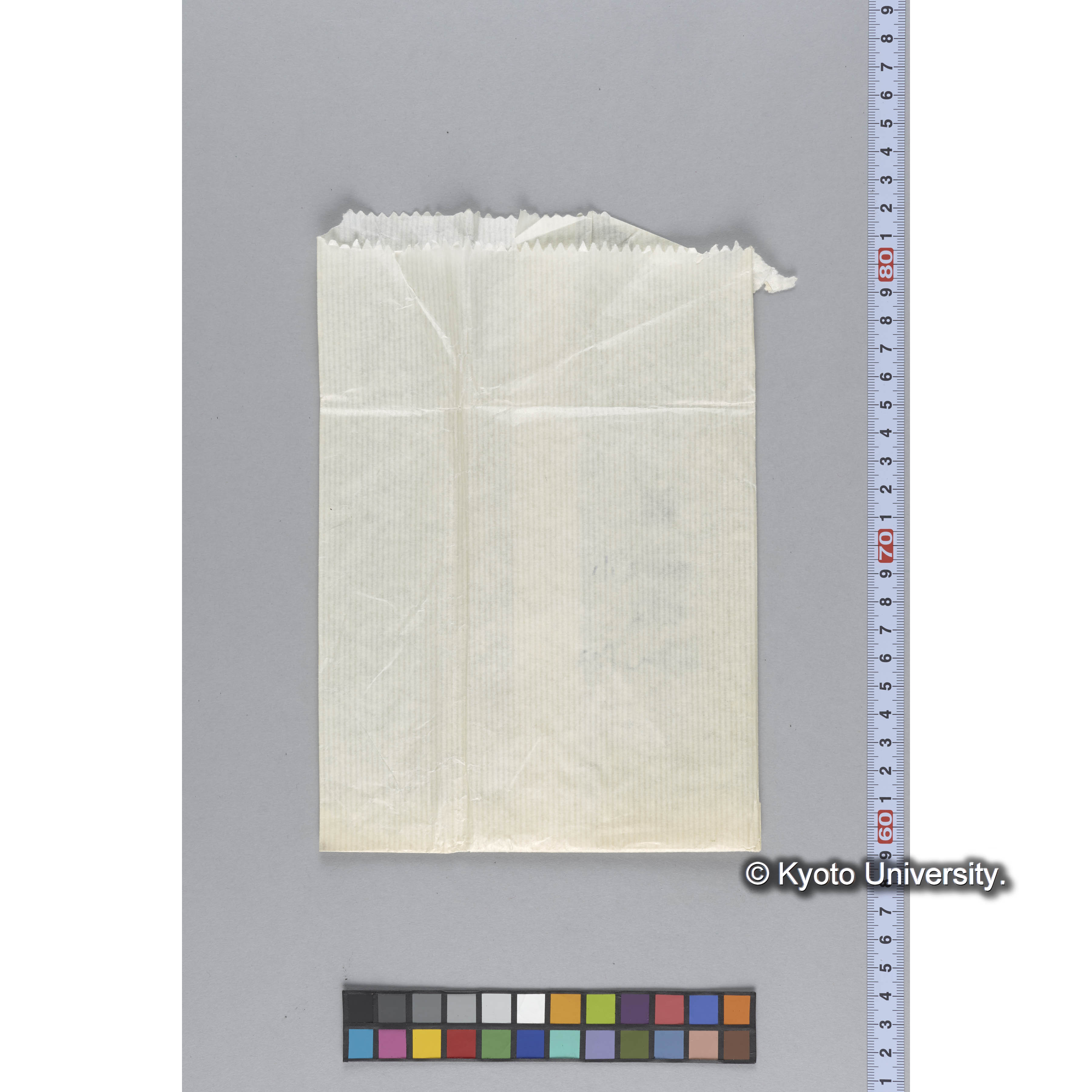 ガラス乾板P (3)