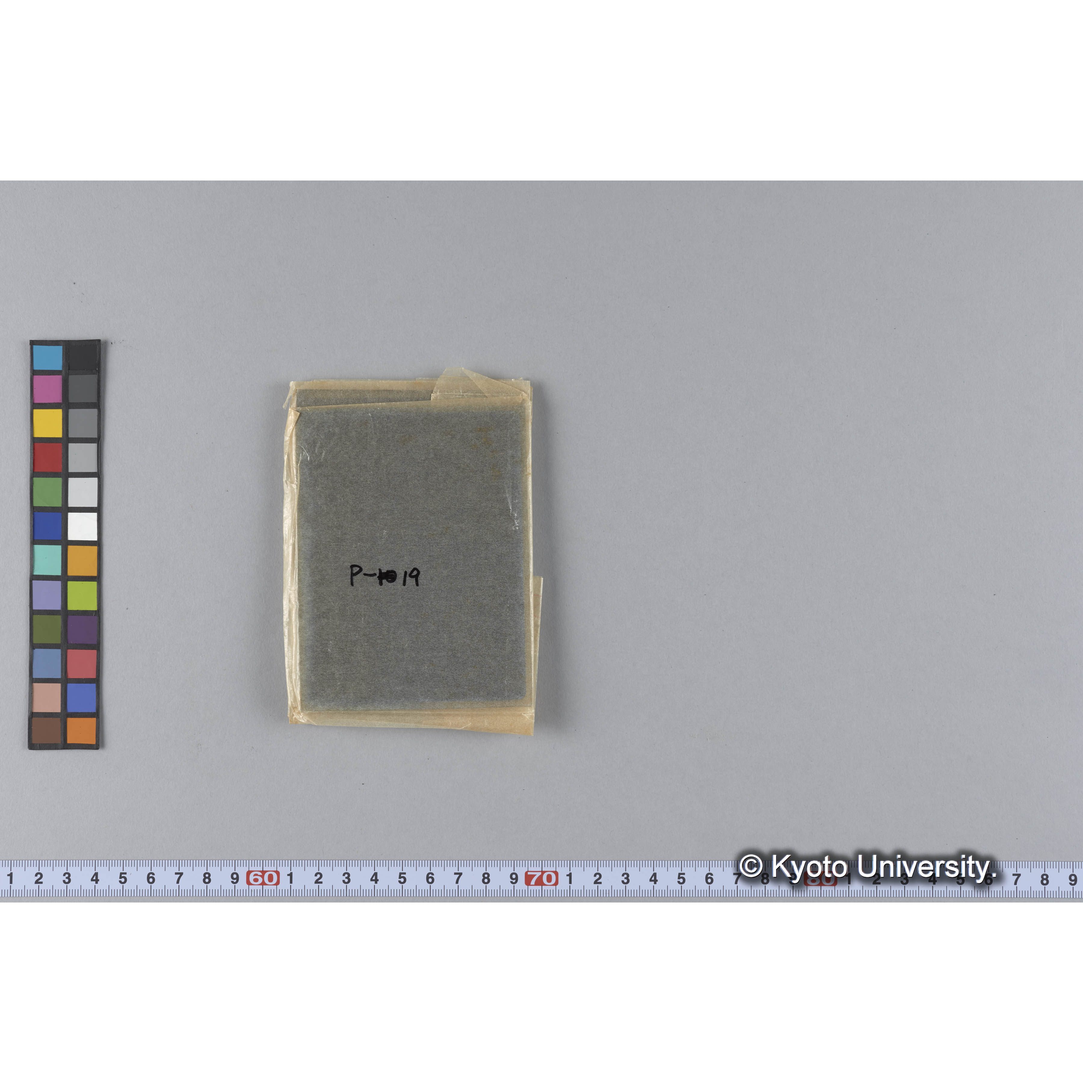 ガラス乾板P (6)