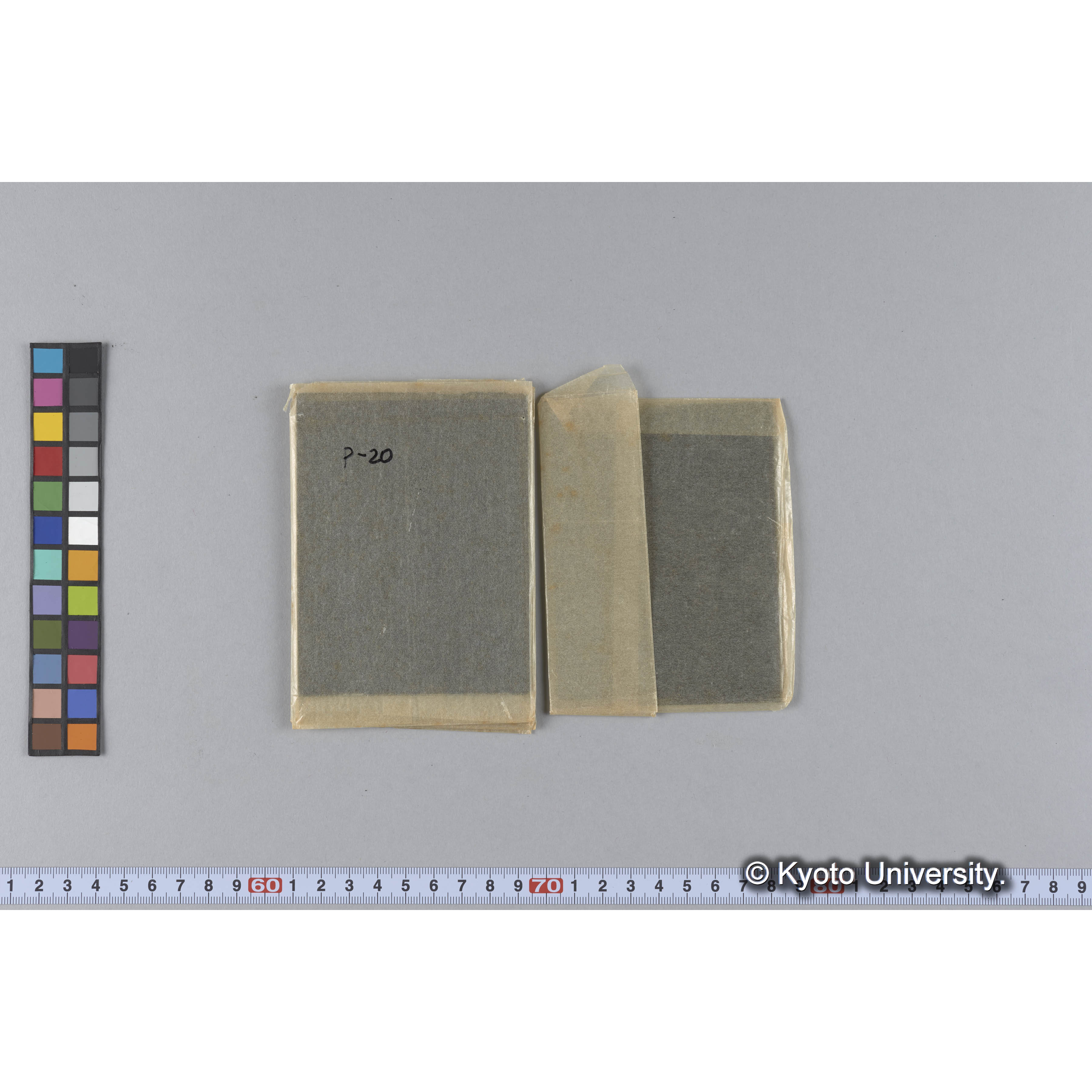 ガラス乾板P (7)