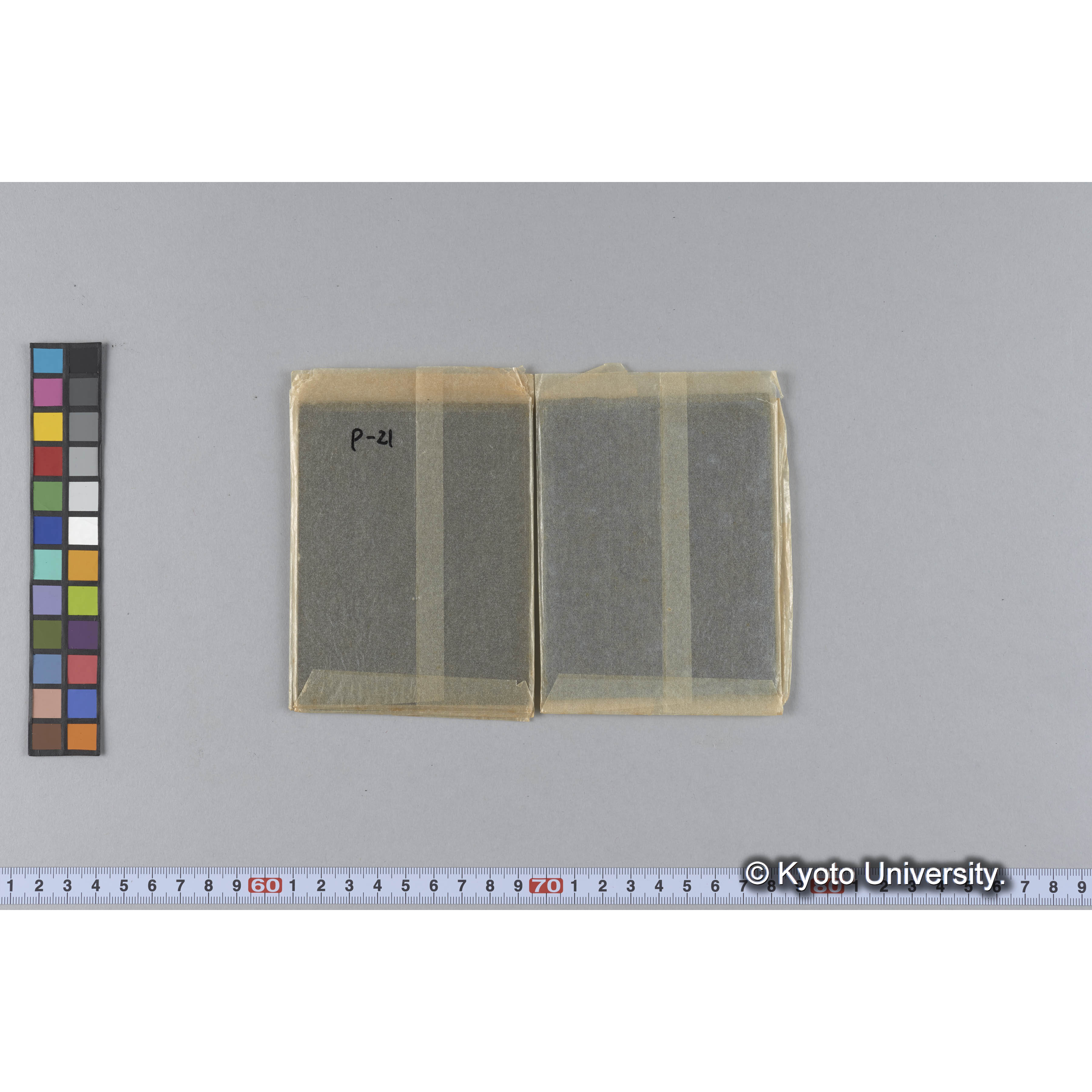 ガラス乾板P (8)