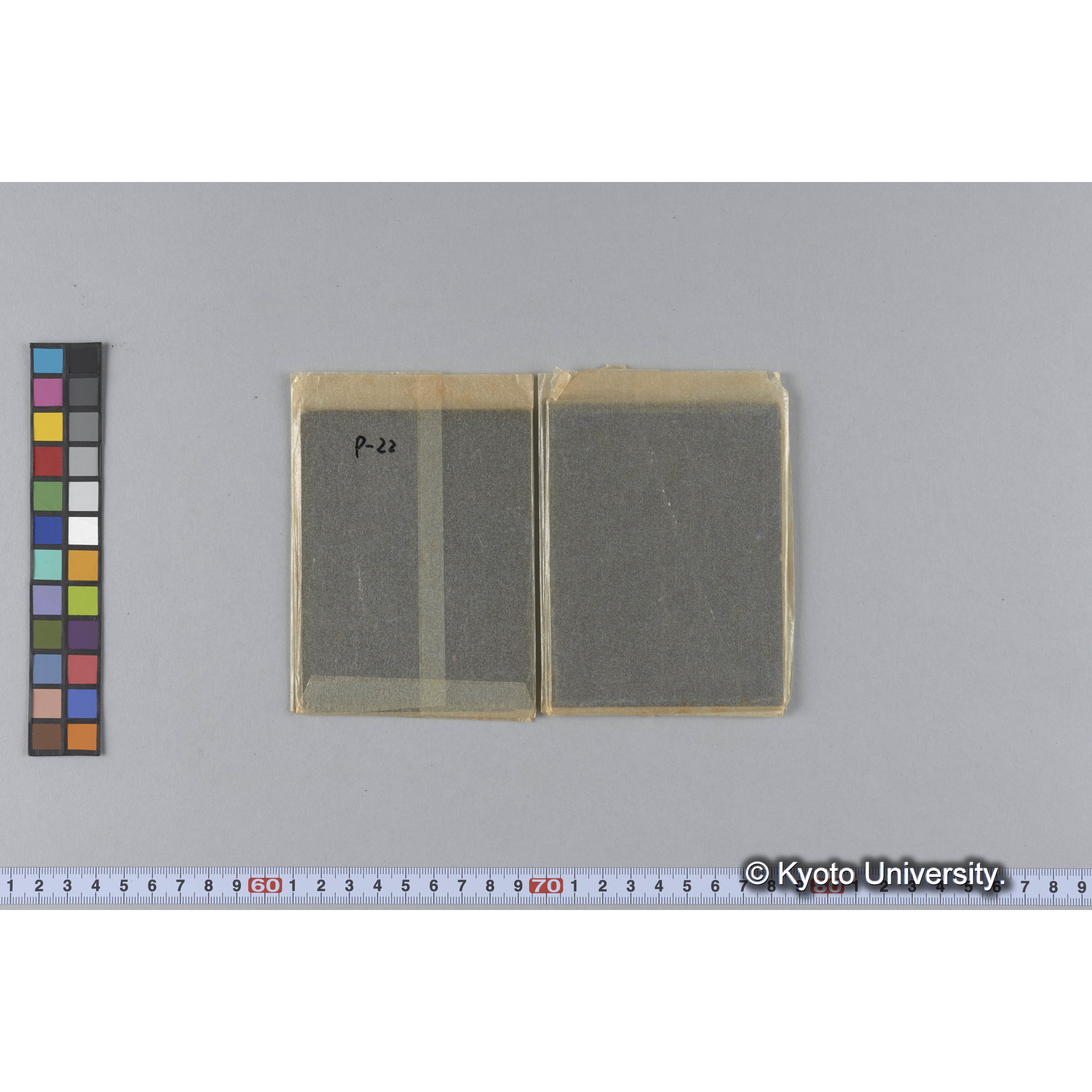 ガラス乾板P (9)