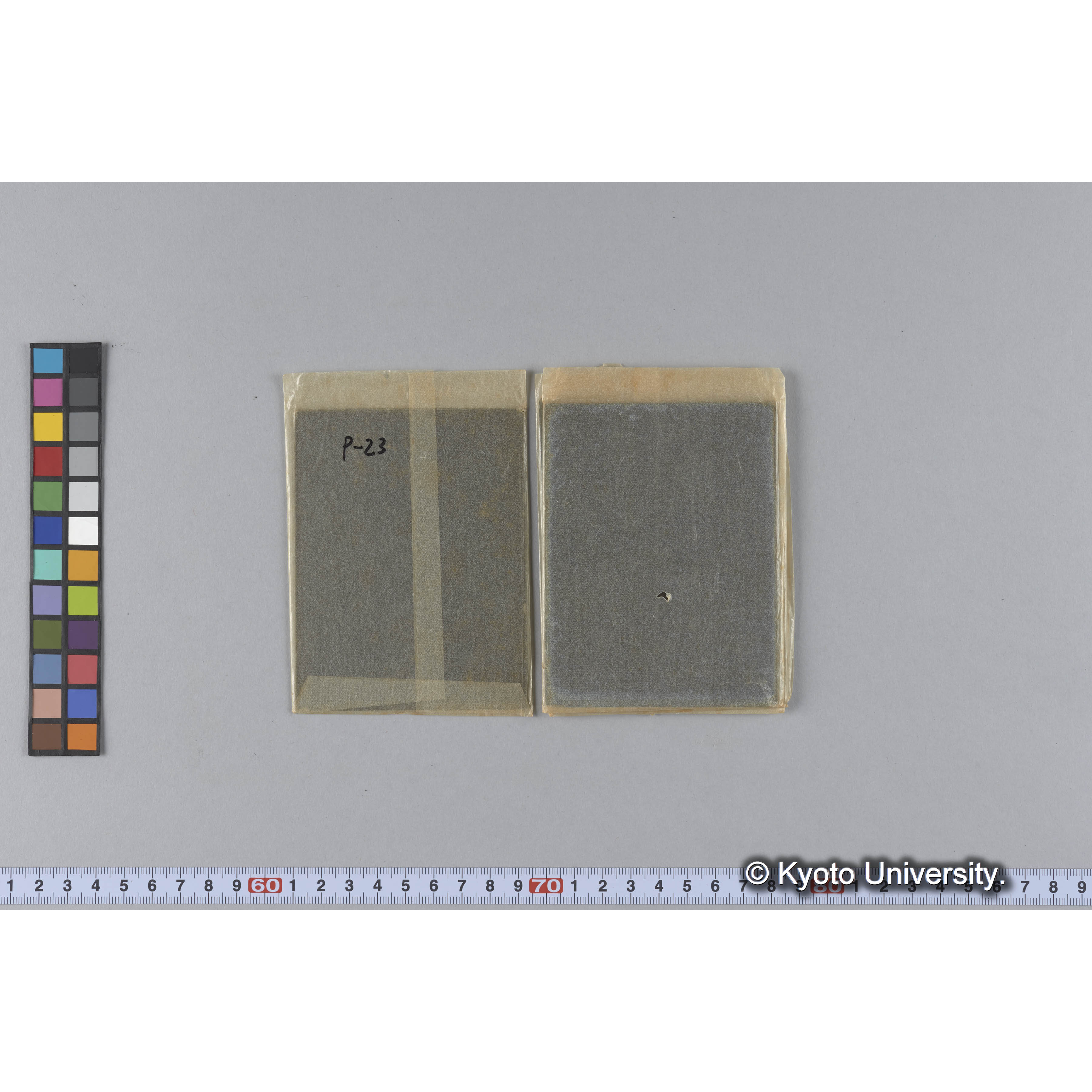 ガラス乾板P (10)