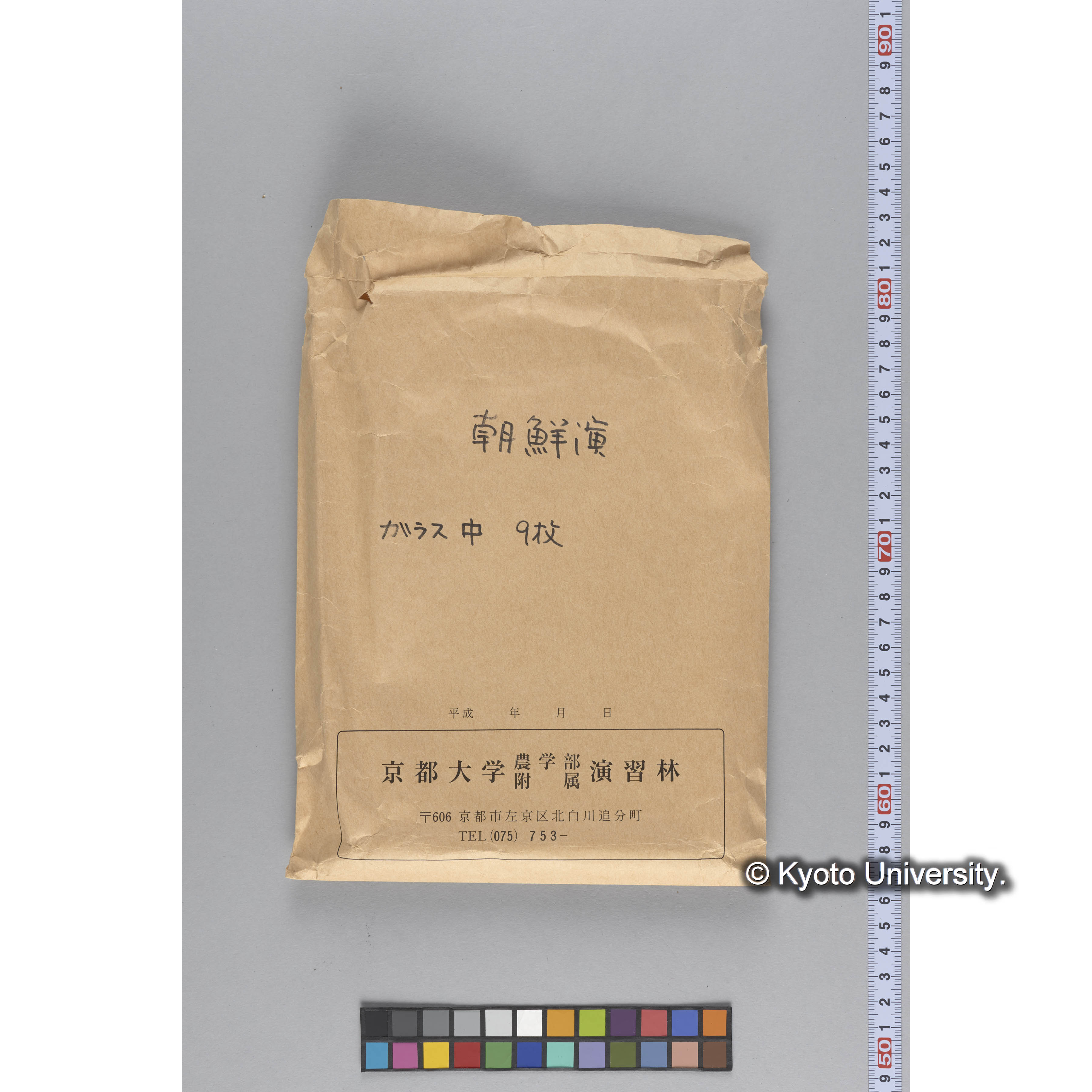 ガラス乾板P (12)