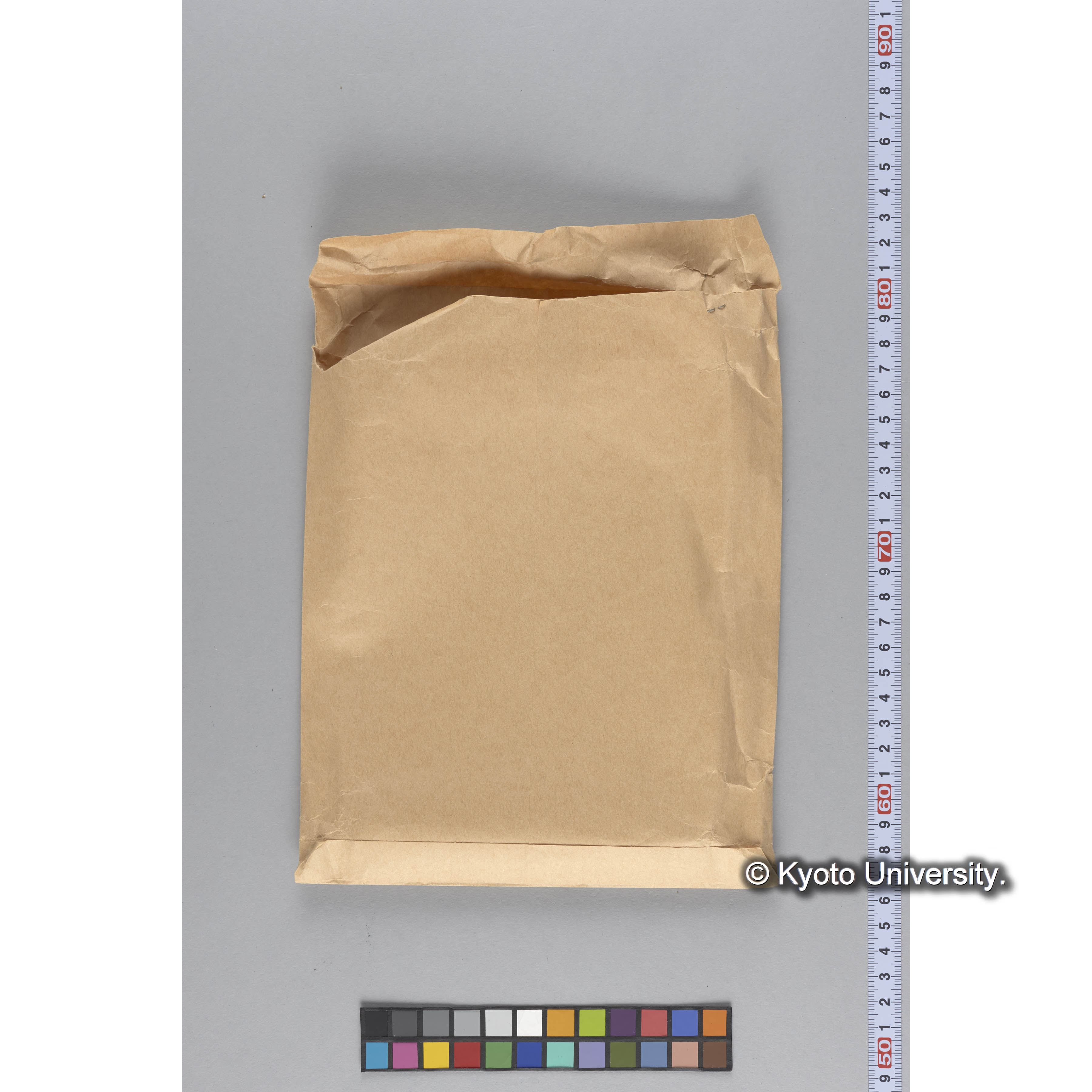 ガラス乾板P (13)