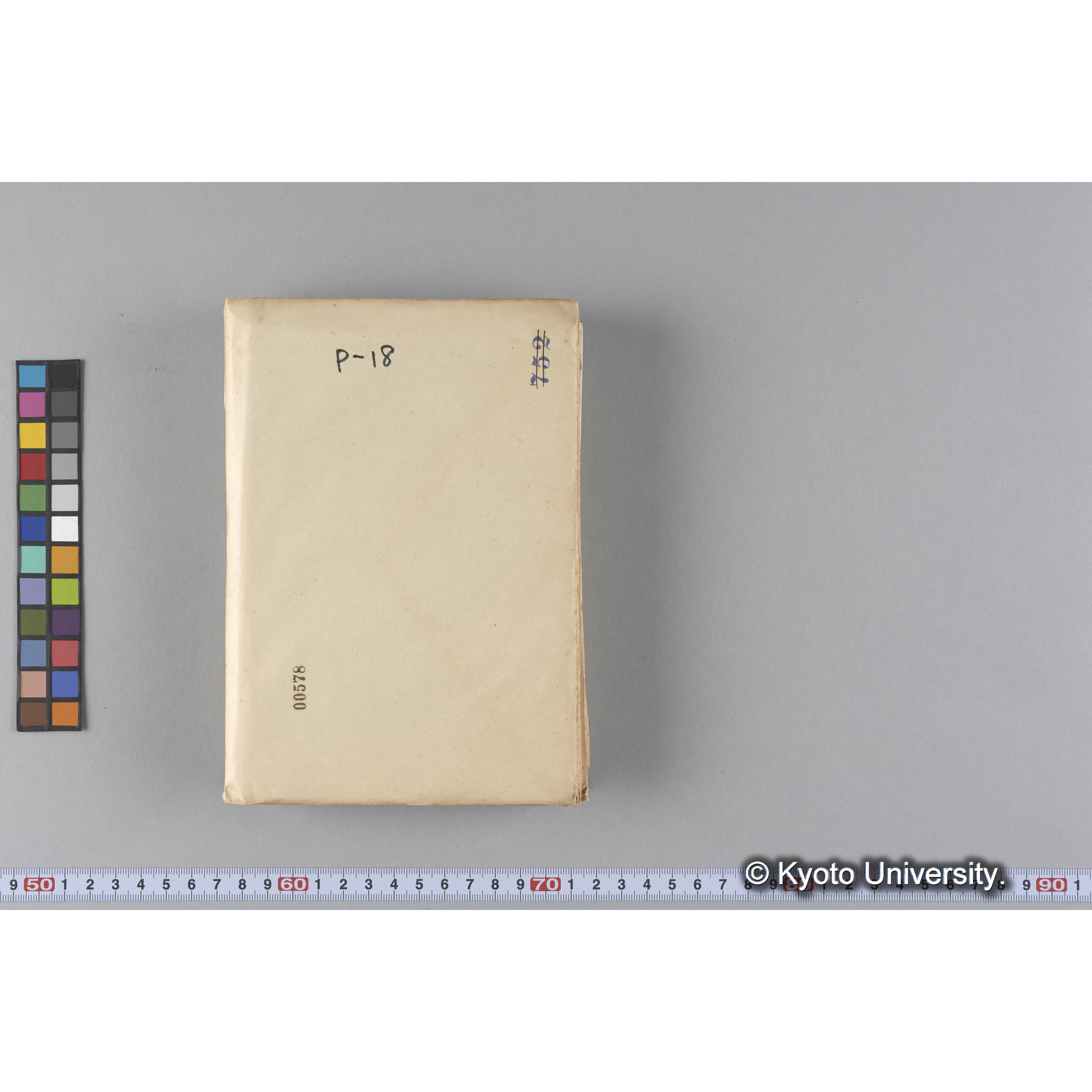 ガラス乾板P (14)