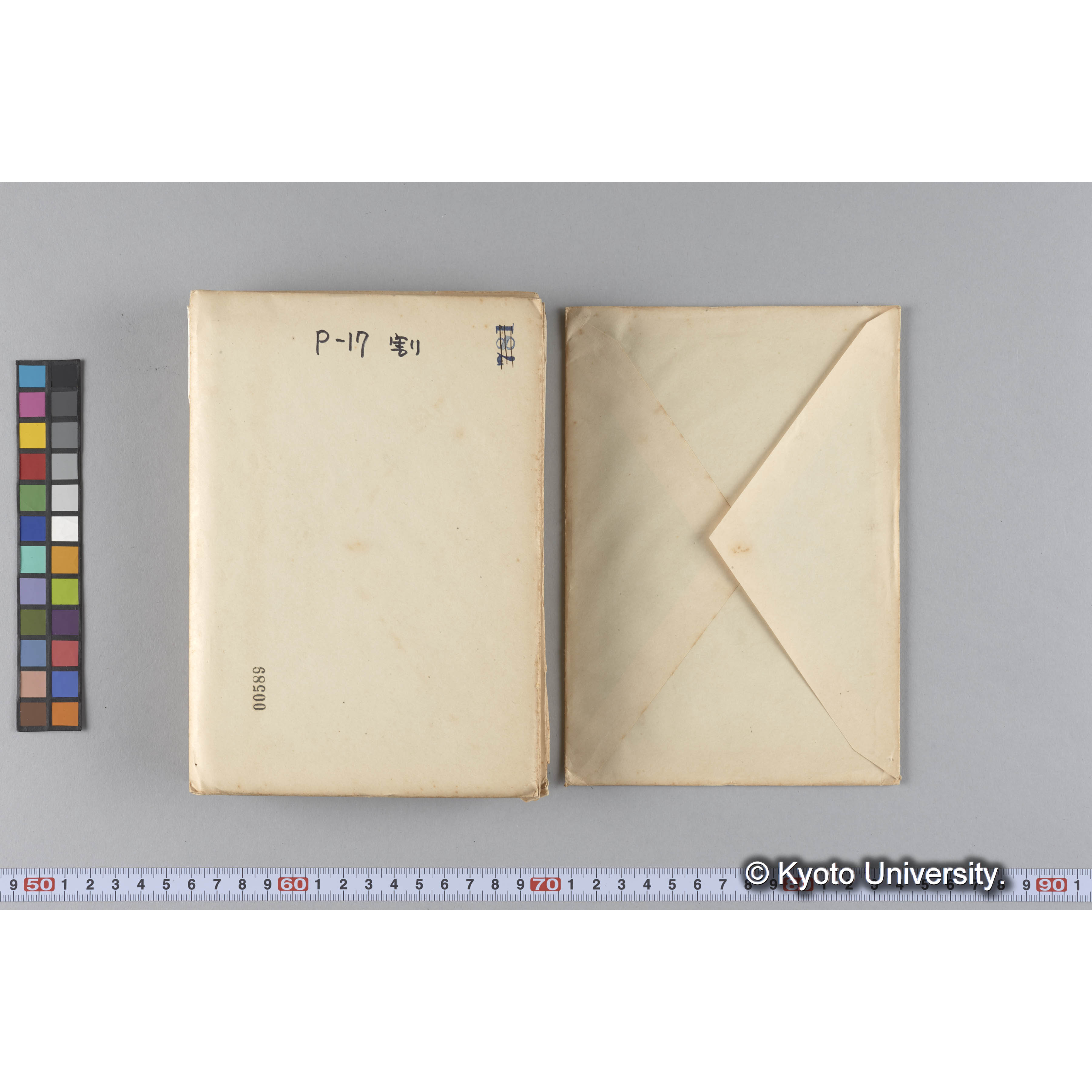 ガラス乾板P (15)