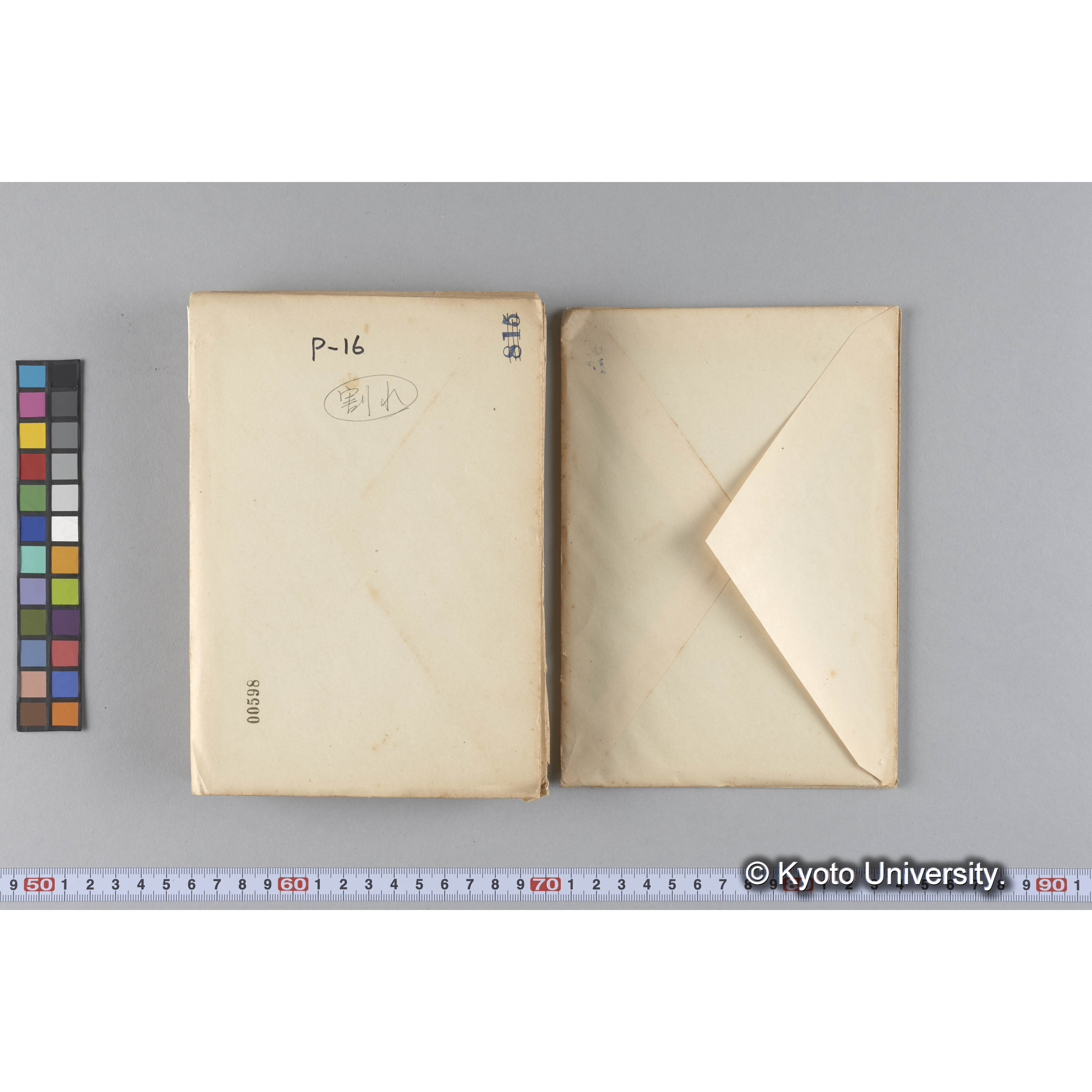 ガラス乾板P (16)