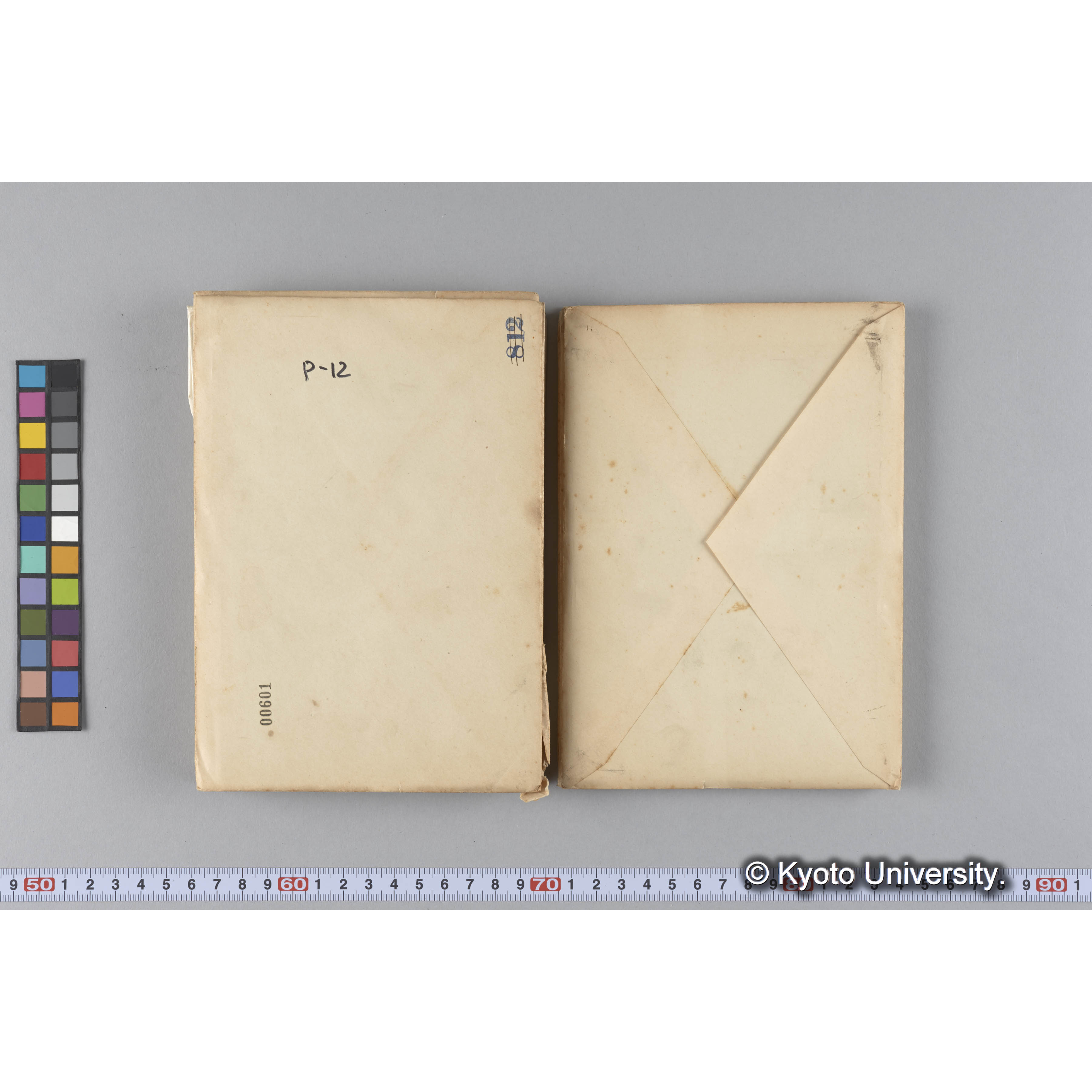 ガラス乾板P (20)