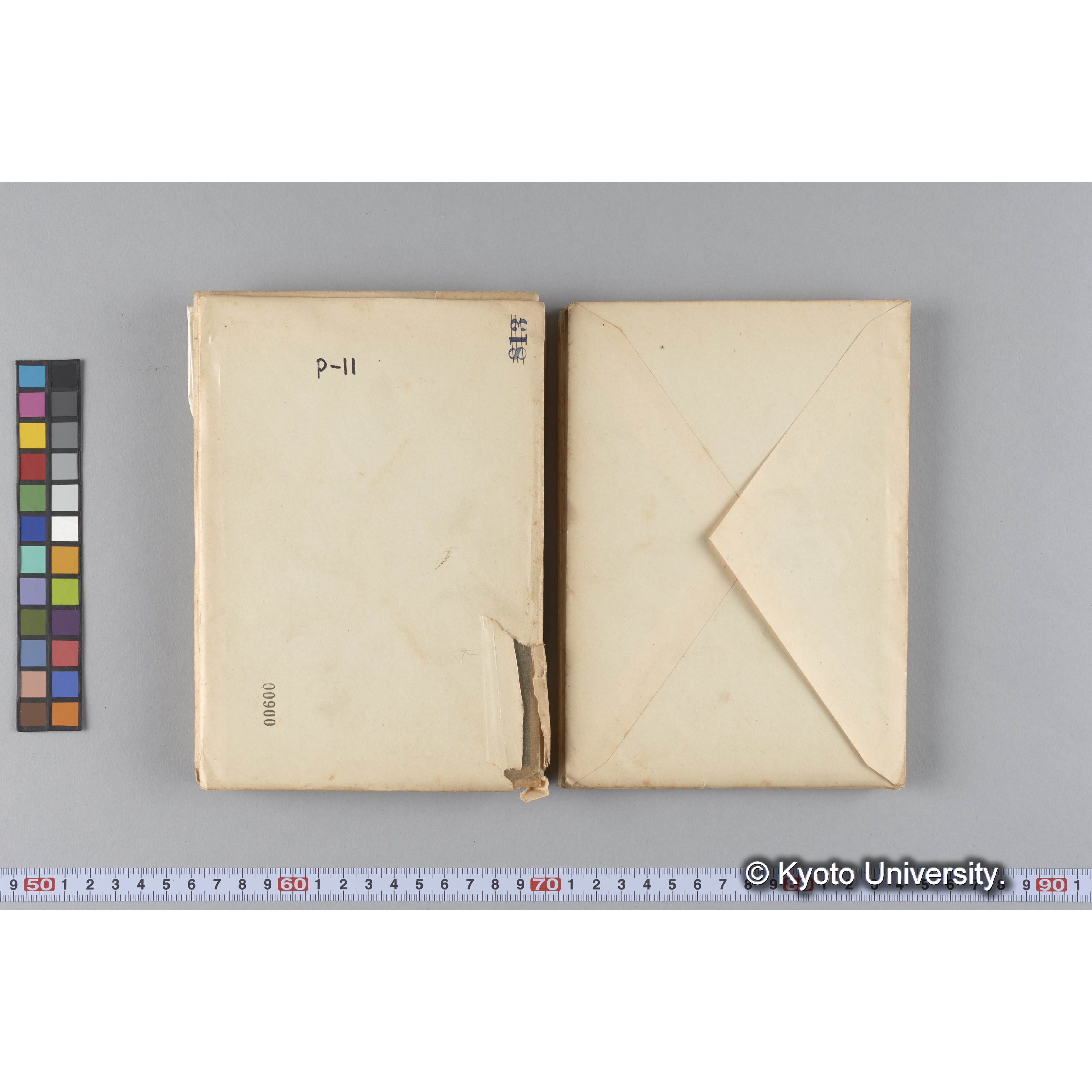 ガラス乾板P (21)