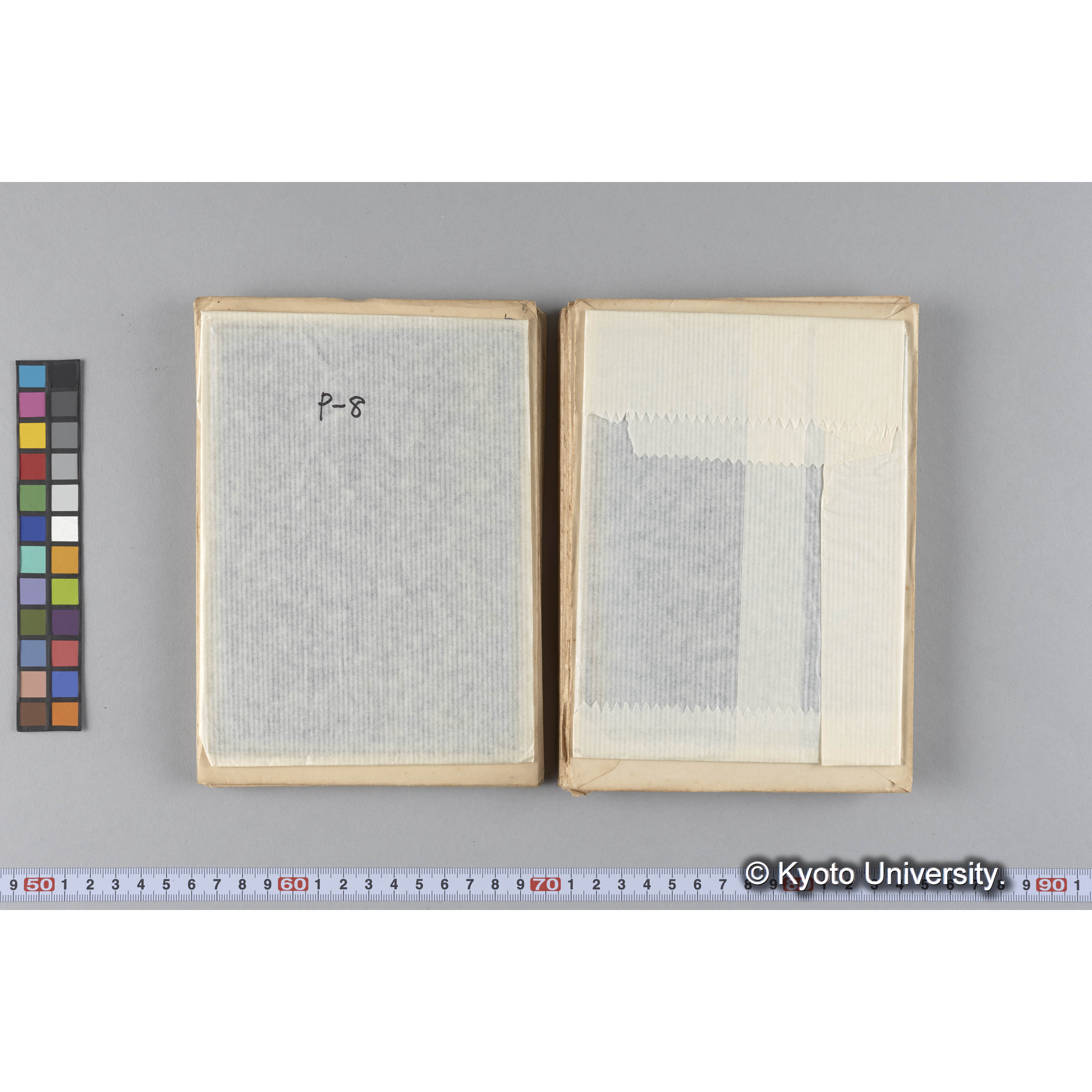 ガラス乾板P (24)