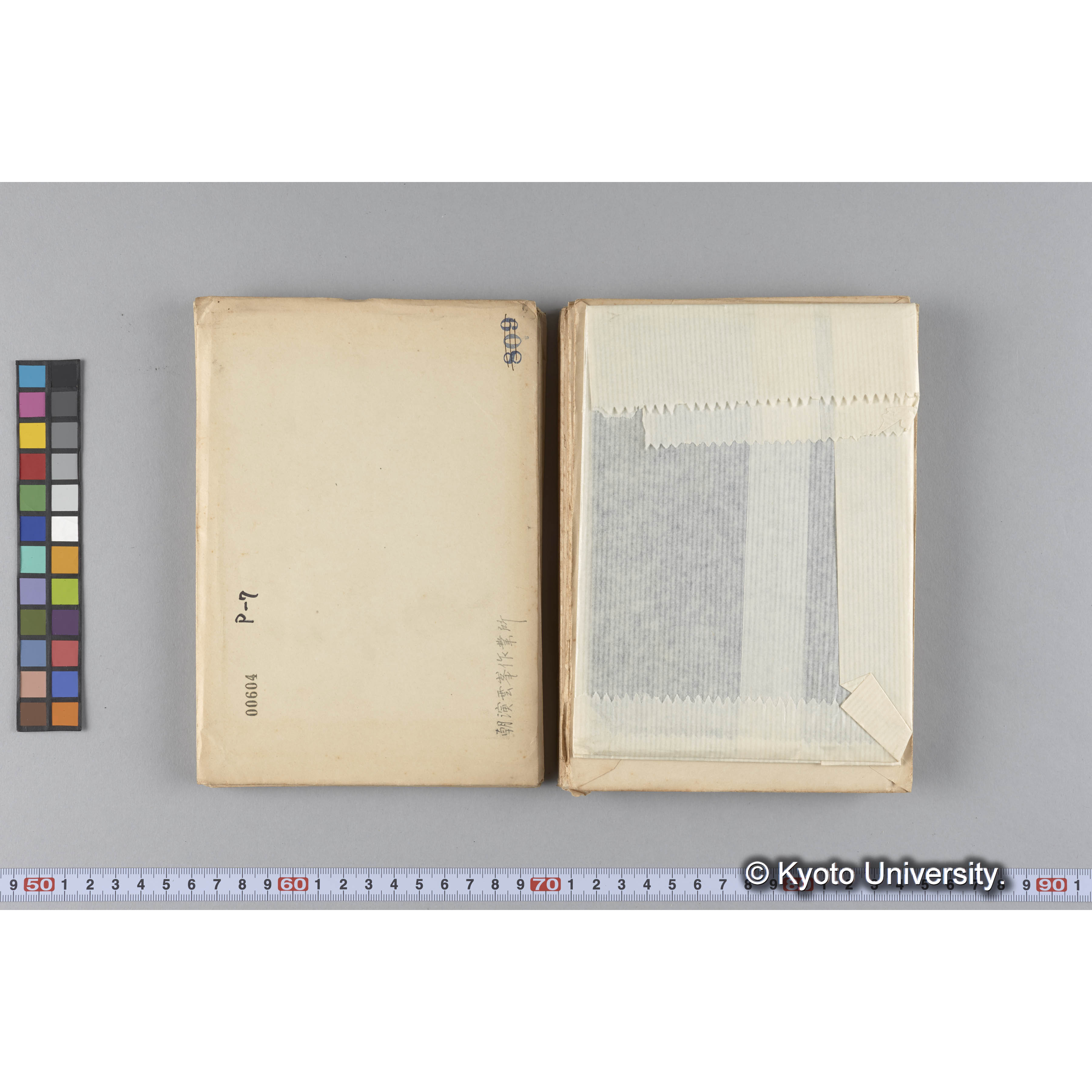 ガラス乾板P (25)