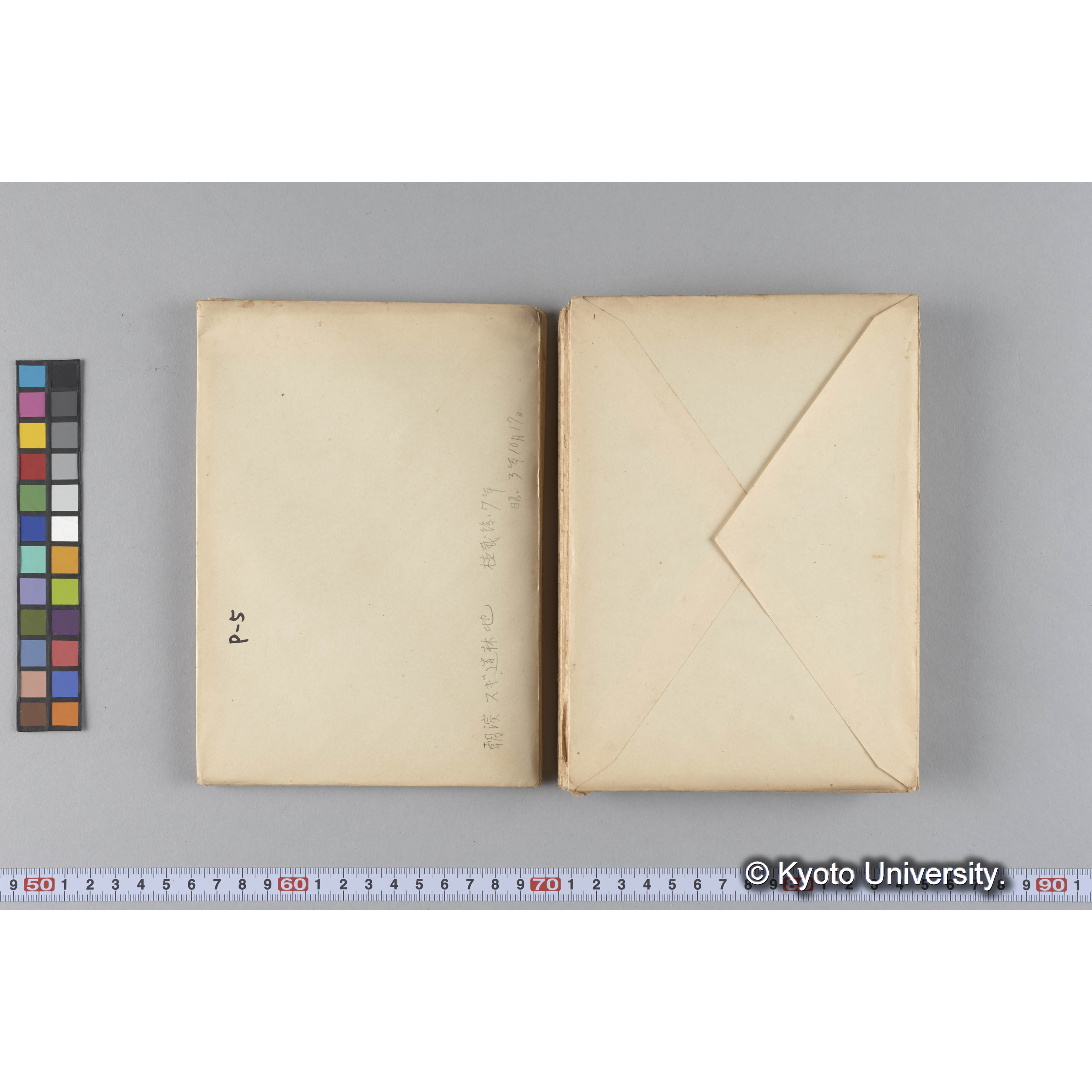 ガラス乾板P (27)