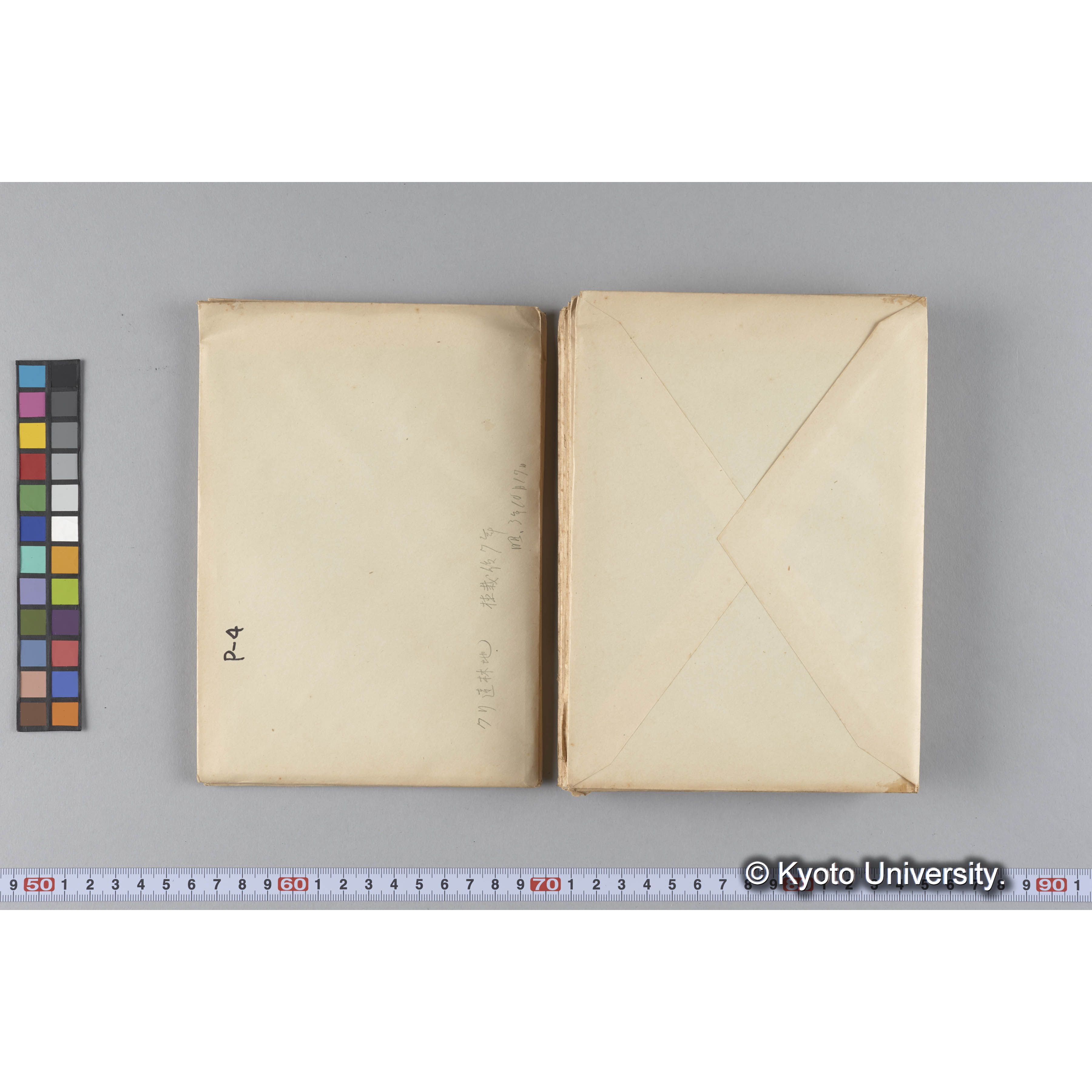 ガラス乾板P (28)