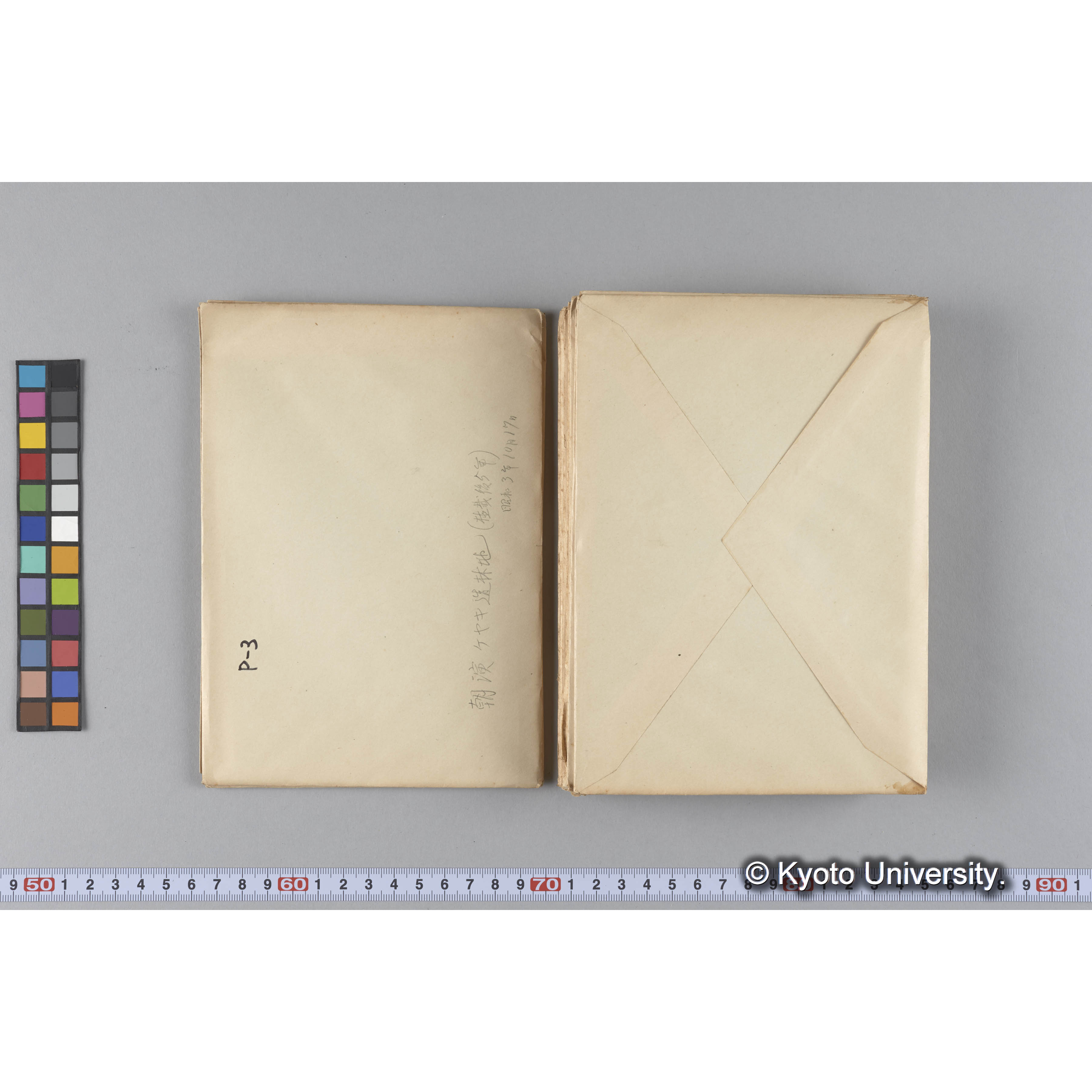 ガラス乾板P (29)