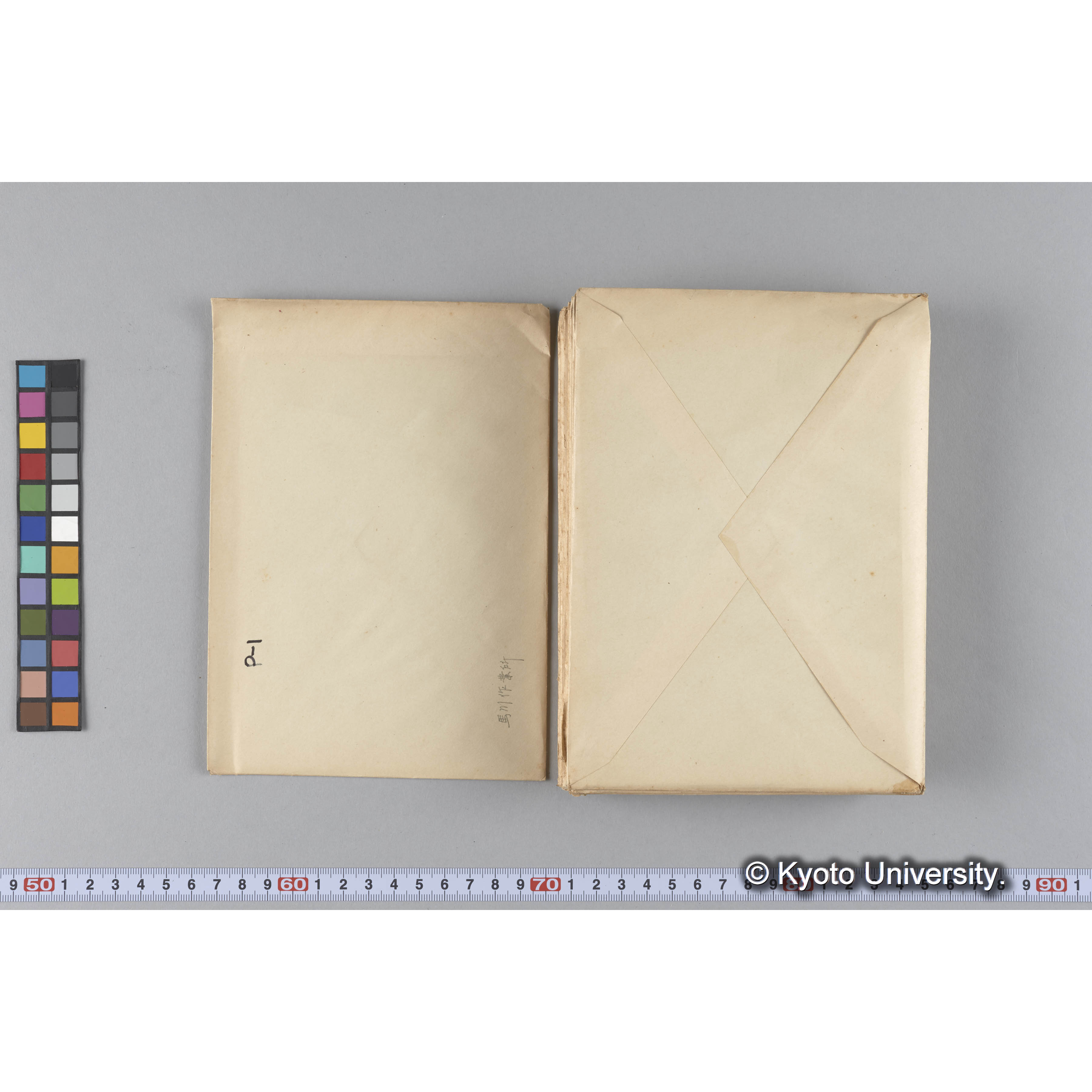 ガラス乾板P (31)