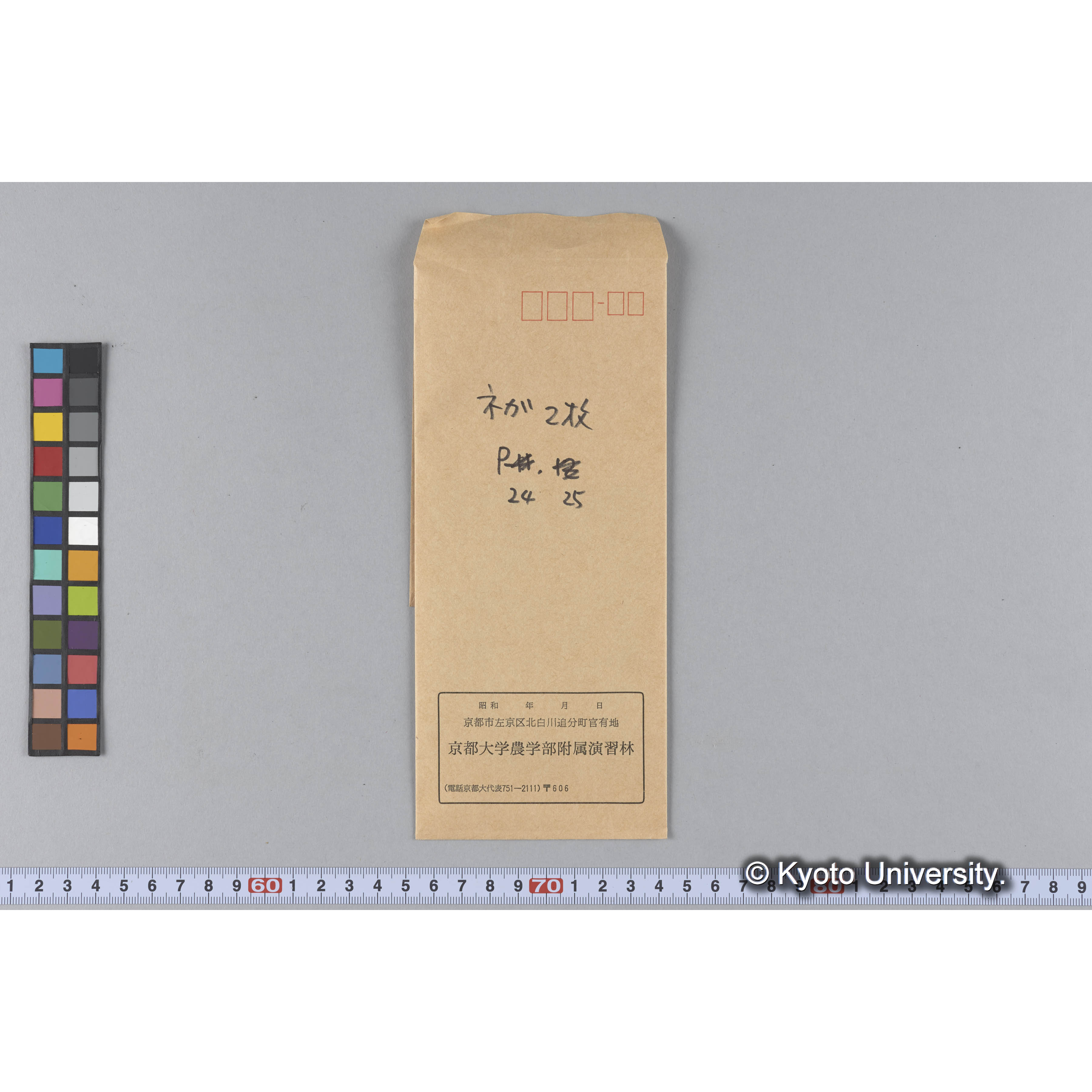 ガラス乾板P (33)