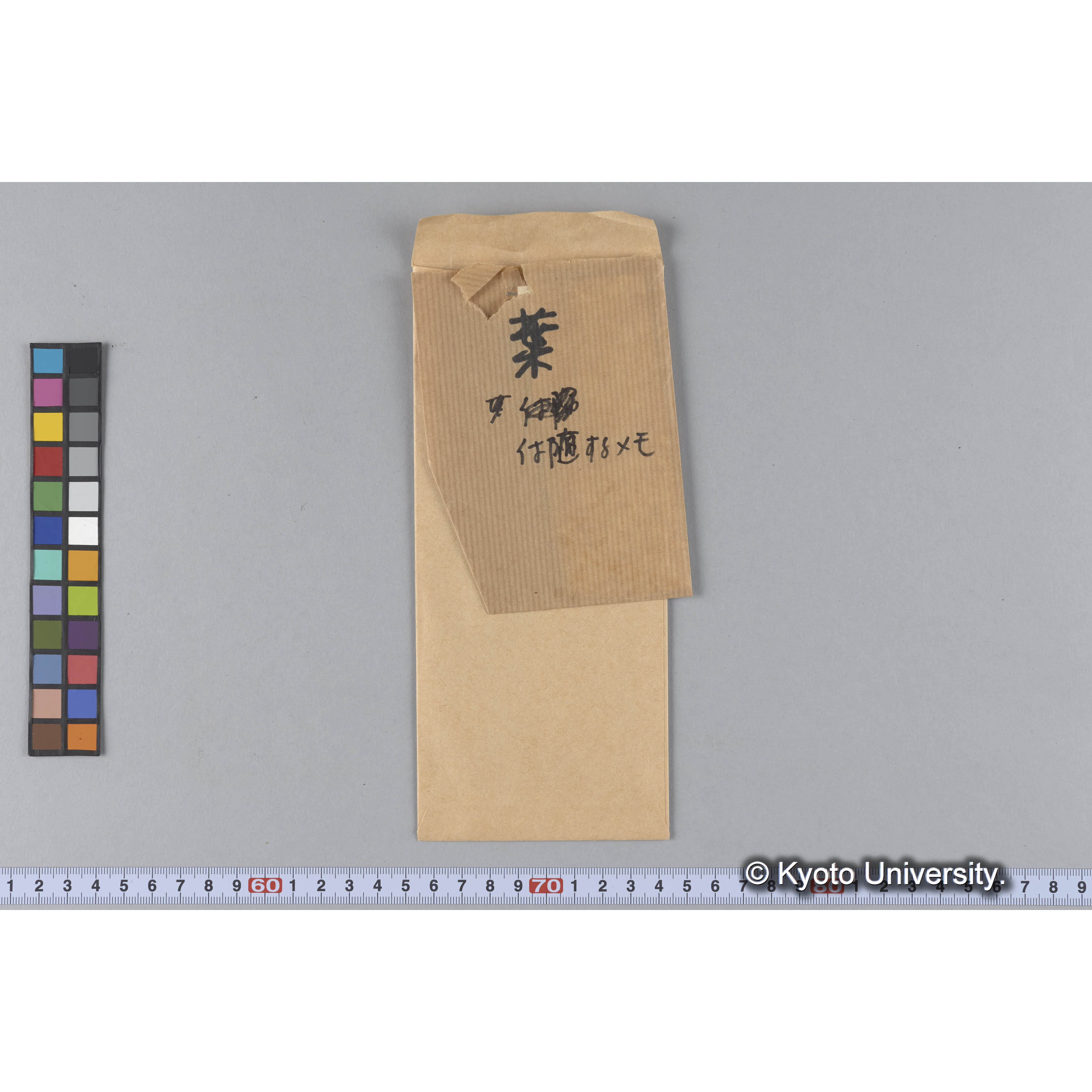 ガラス乾板P (34)