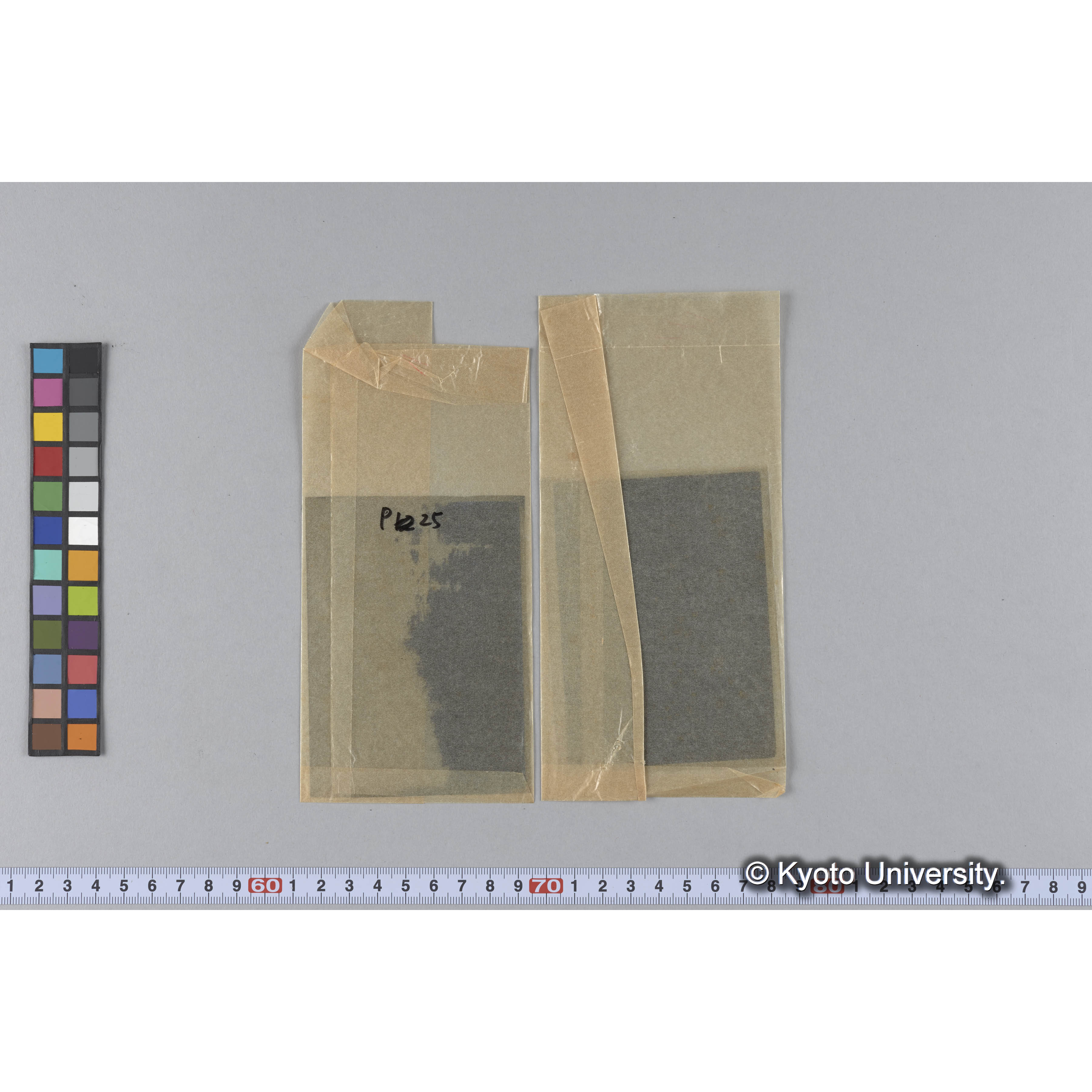 ガラス乾板P (36)