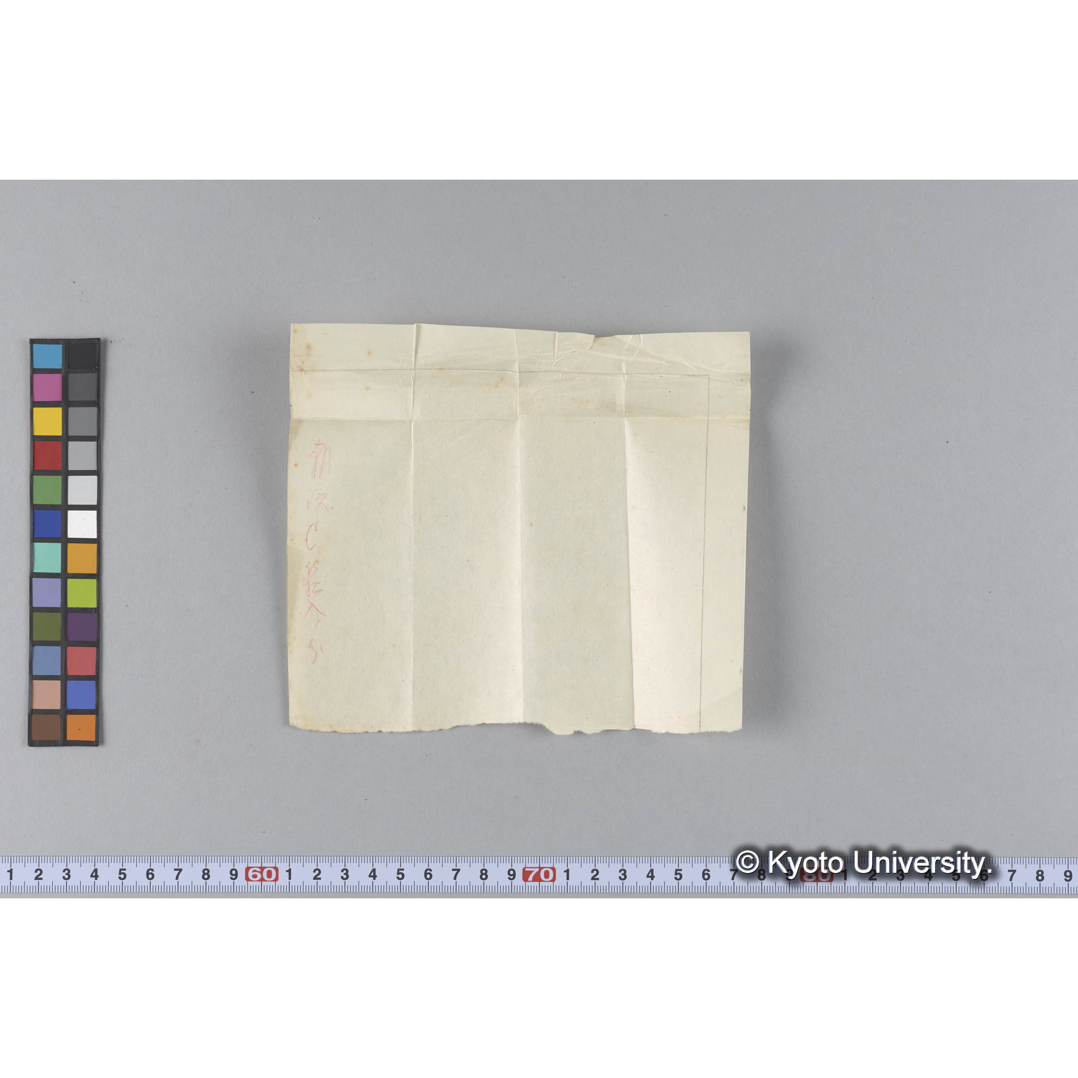 ガラス乾板P (39)